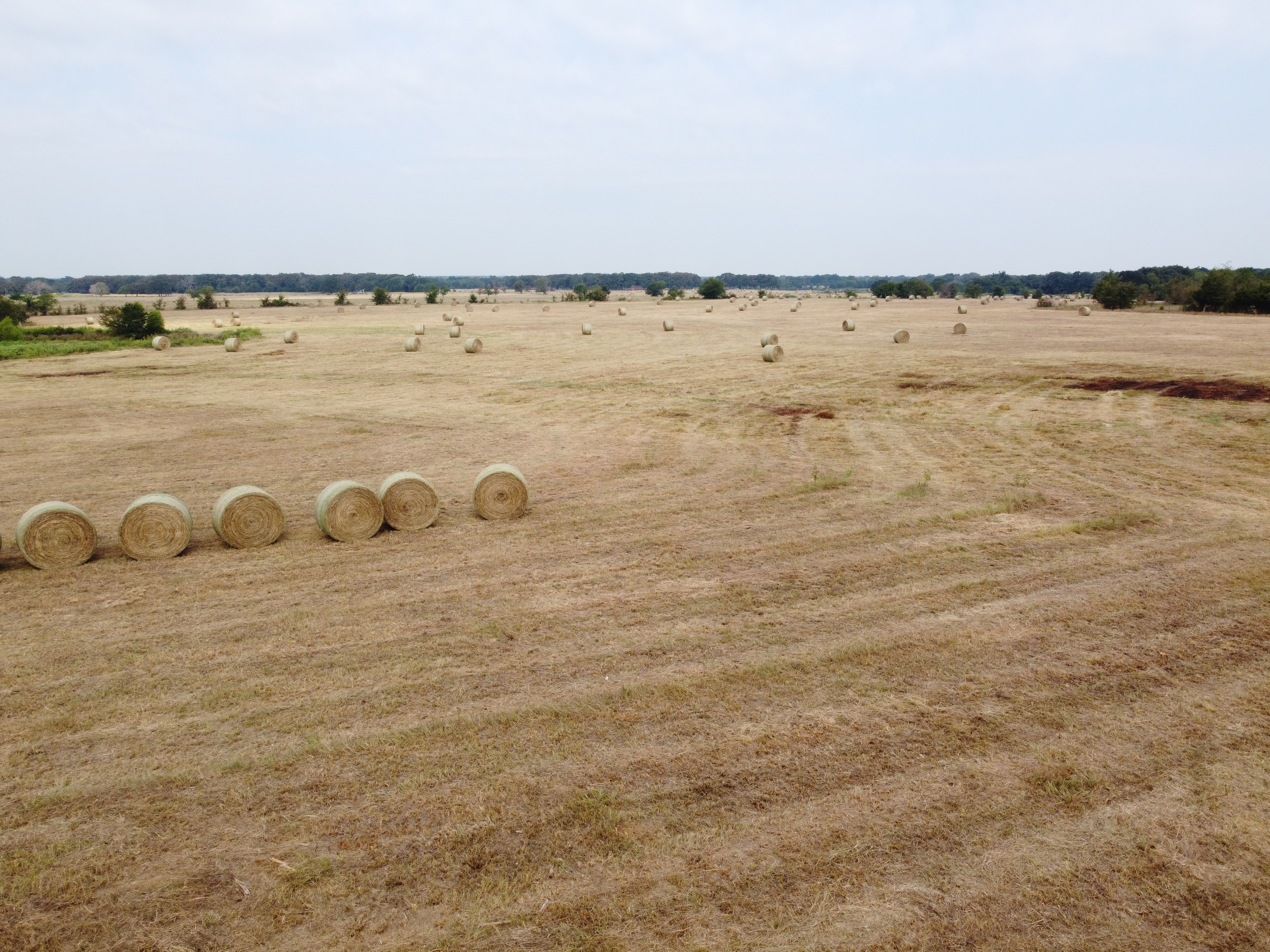 Cumby, Texas, 75433, United States, ,Land,For Sale,1987346