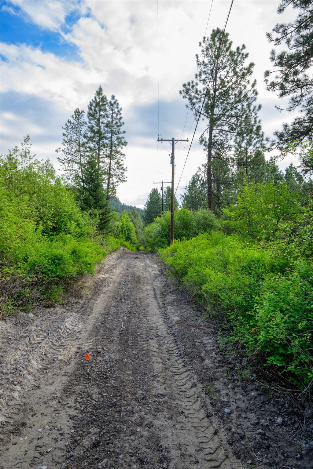 St Regis, Montana, 59866, United States, ,Land,For Sale,1848990