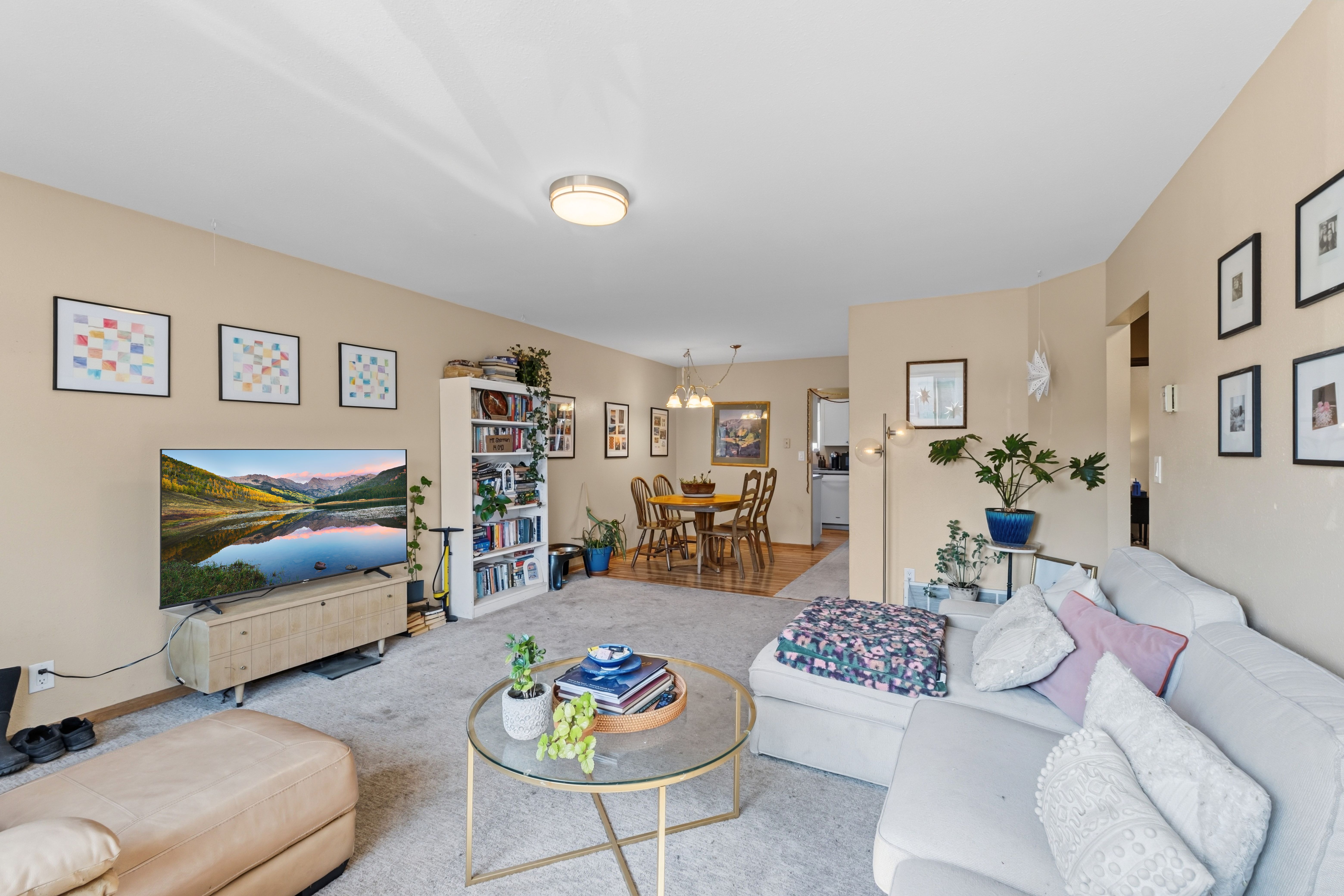  101 S Maple Street, Leadville, CO, 80461 - 物件實景