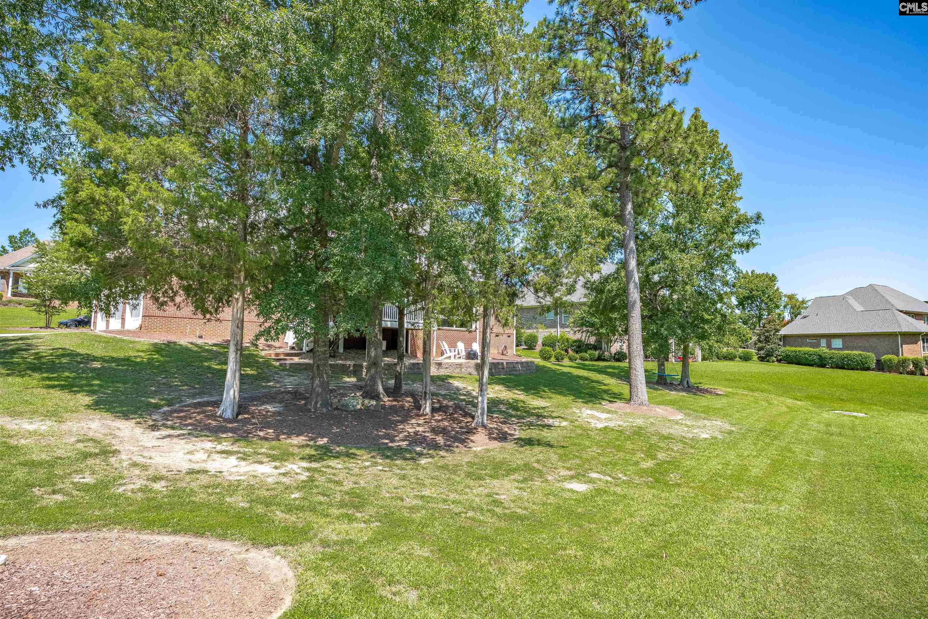 Chapin, South Carolina, 29036, United States, 5 Bedrooms Bedrooms, ,5 BathroomsBathrooms,Residential,For Sale,1932837
