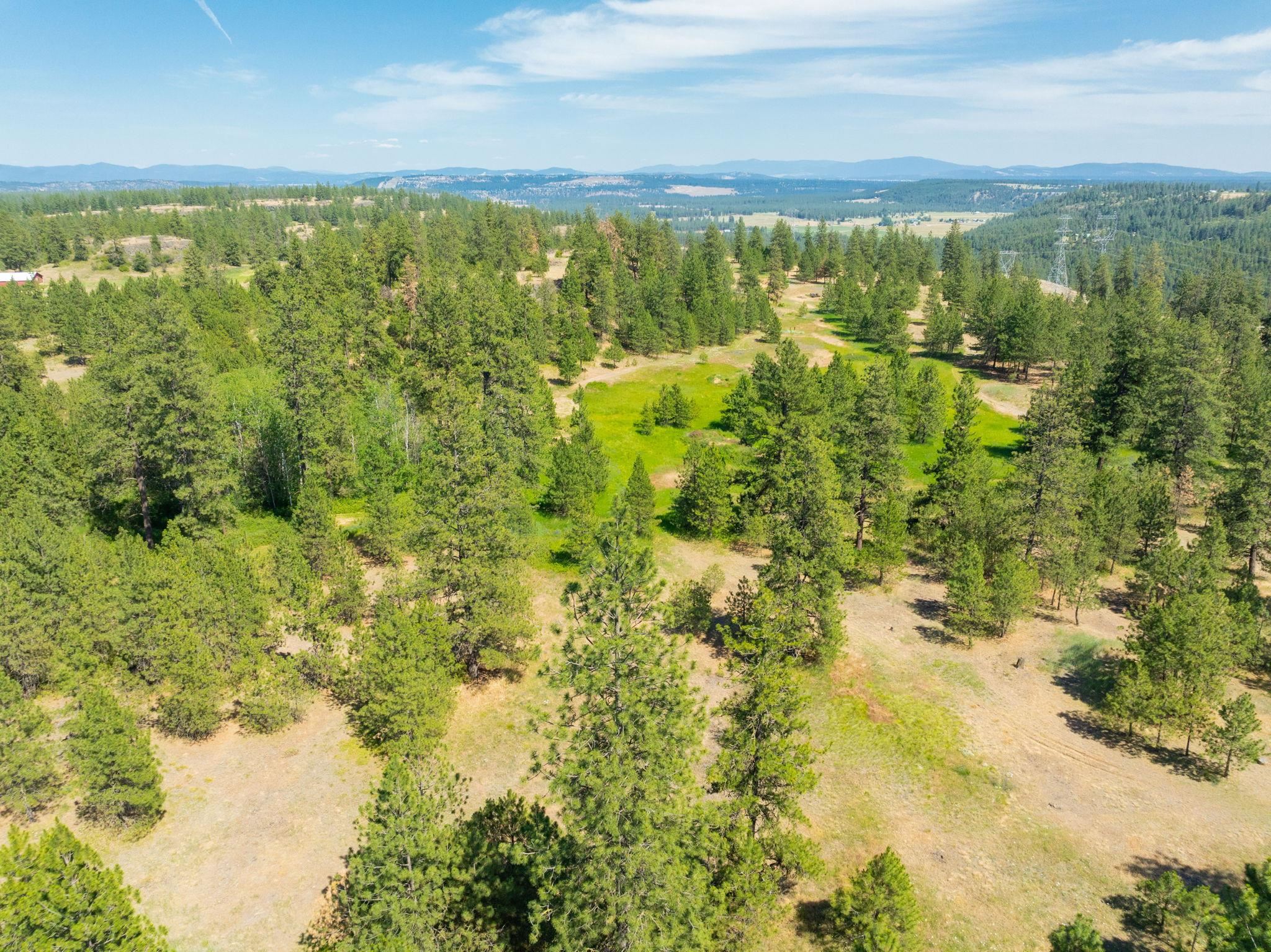 Nine Mile Falls, Washington, 99026, United States, ,Land,For Sale,1960887