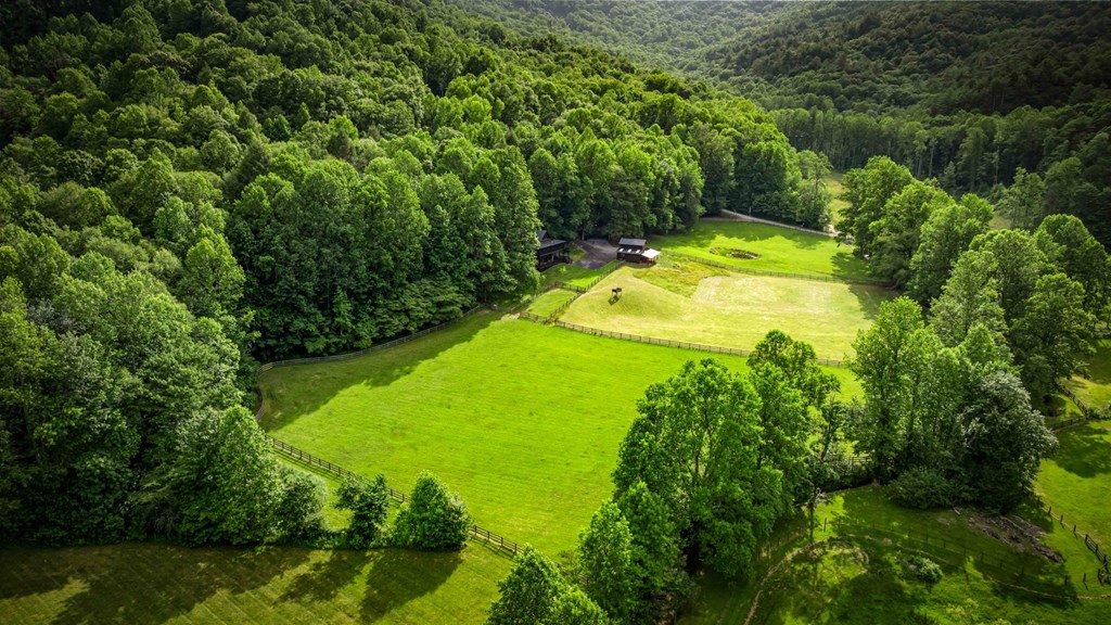 Blue Ridge, Georgia, 30513, United States, 3 Bedrooms Bedrooms, ,3 BathroomsBathrooms,Residential,For Sale,1974409