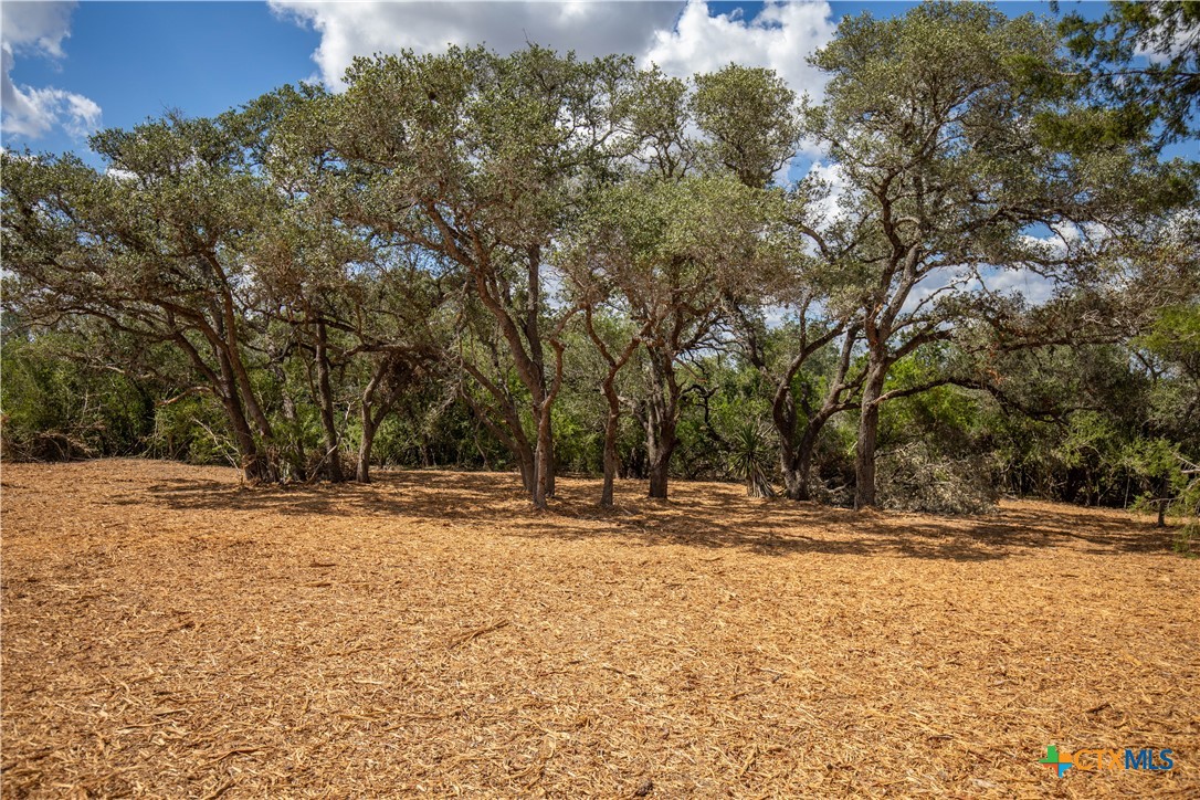 Cuero, Texas, 77954, United States, ,Residential,For Sale,1963995