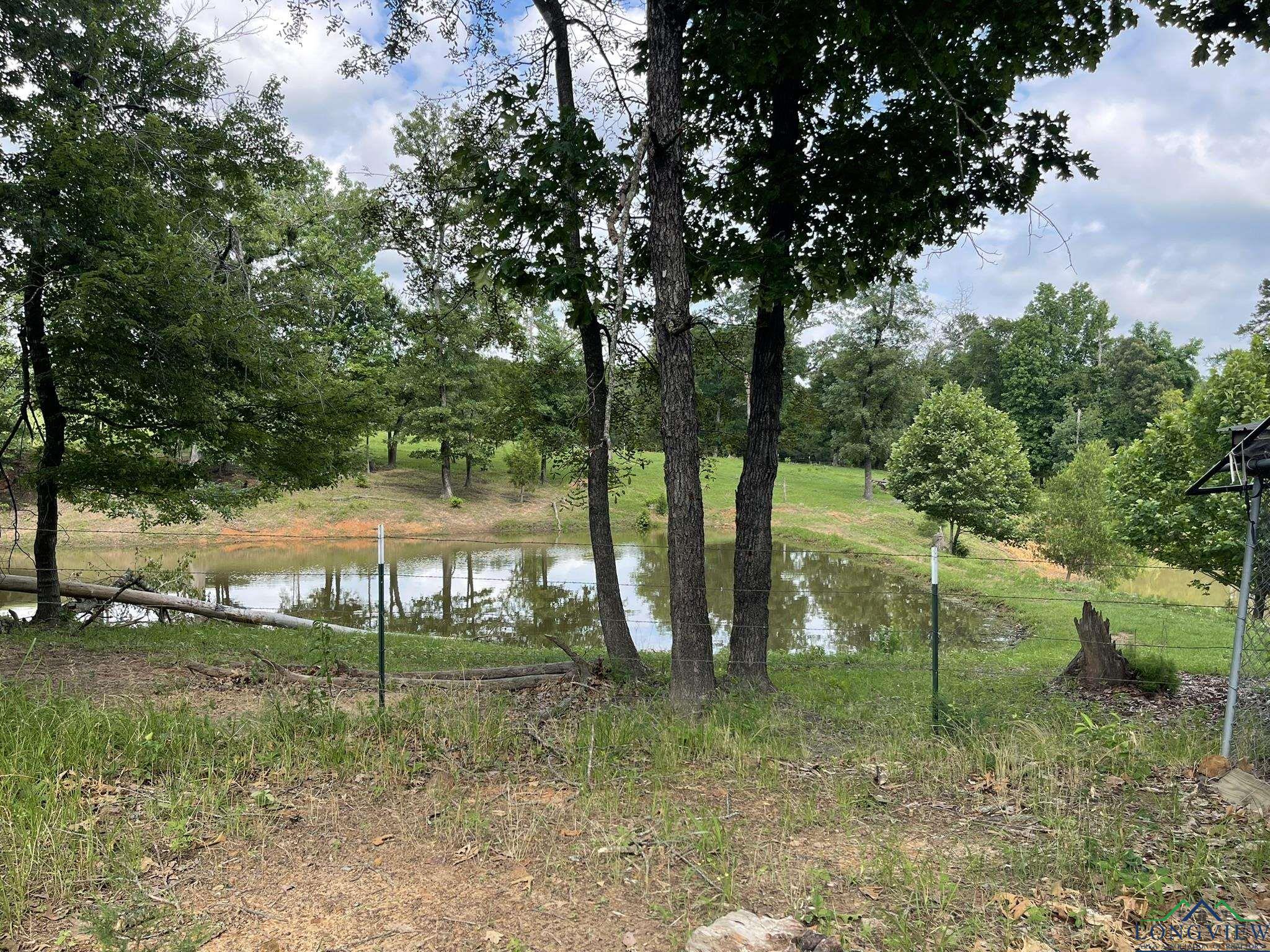 Gilmer, Texas, 75644, United States, 3 Bedrooms Bedrooms, ,2 BathroomsBathrooms,Residential,For Sale,1847700