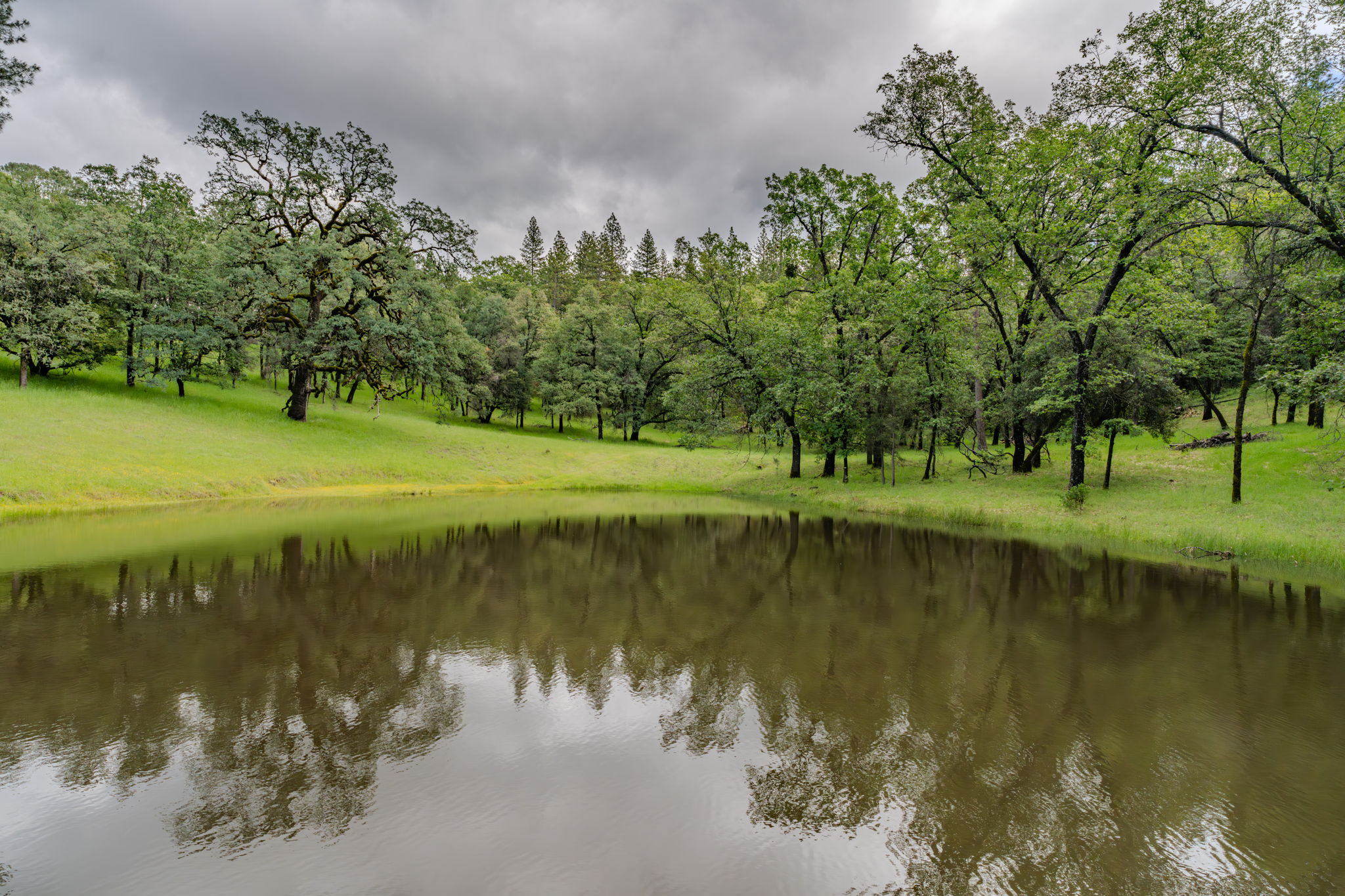  19351 Fiddletown Road, Fiddletown, CA 95629 - 物件實景
