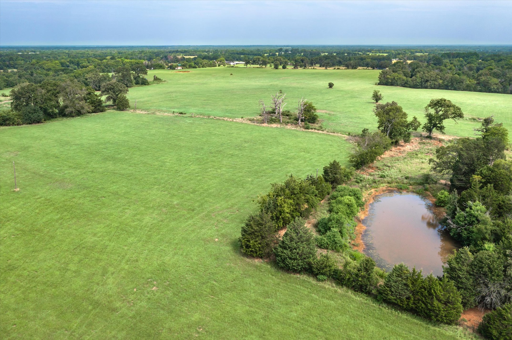 9208 FM 17, Grand Saline, Texas, 75140, United States, 5 Bedrooms Bedrooms, ,6 BathroomsBathrooms,Residential,For Sale,9208 FM 17,1317594