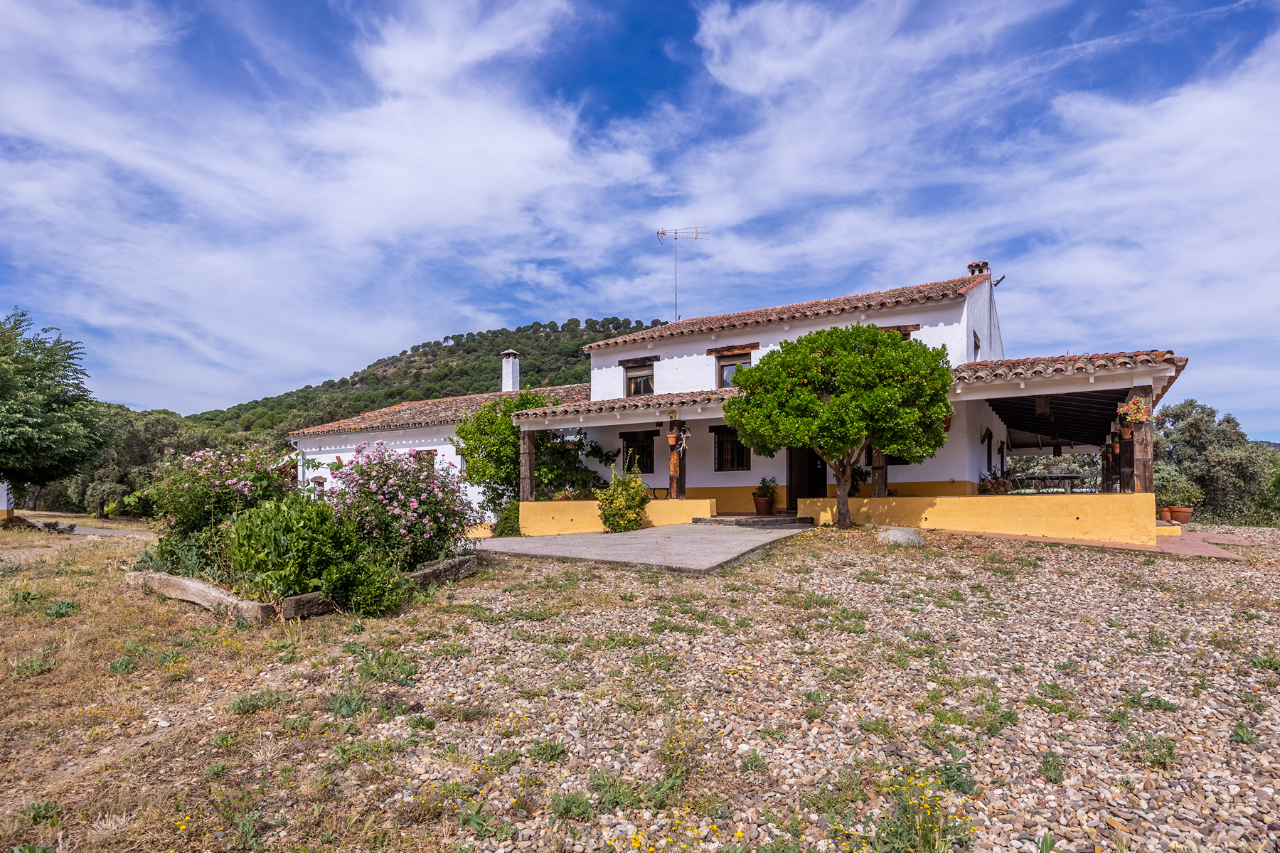  Recreational and hunting estate in the Sierra de Córdoba - 物件實景