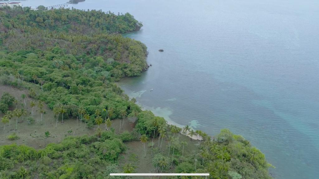 Samana, DO, ,Land,For Sale,1403639