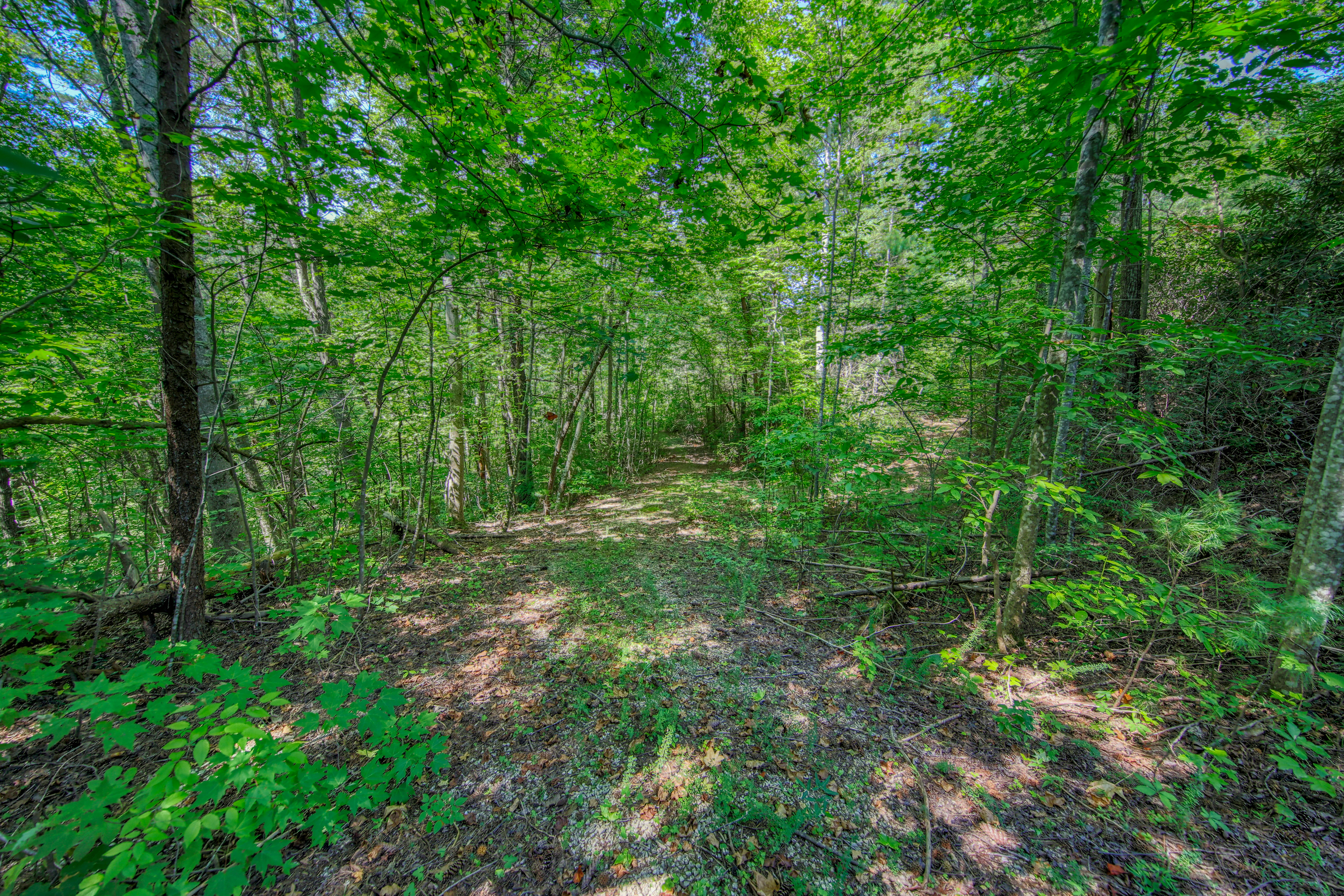  Belcher Loop, Tellico Plains, TN 37385 - 物件實景