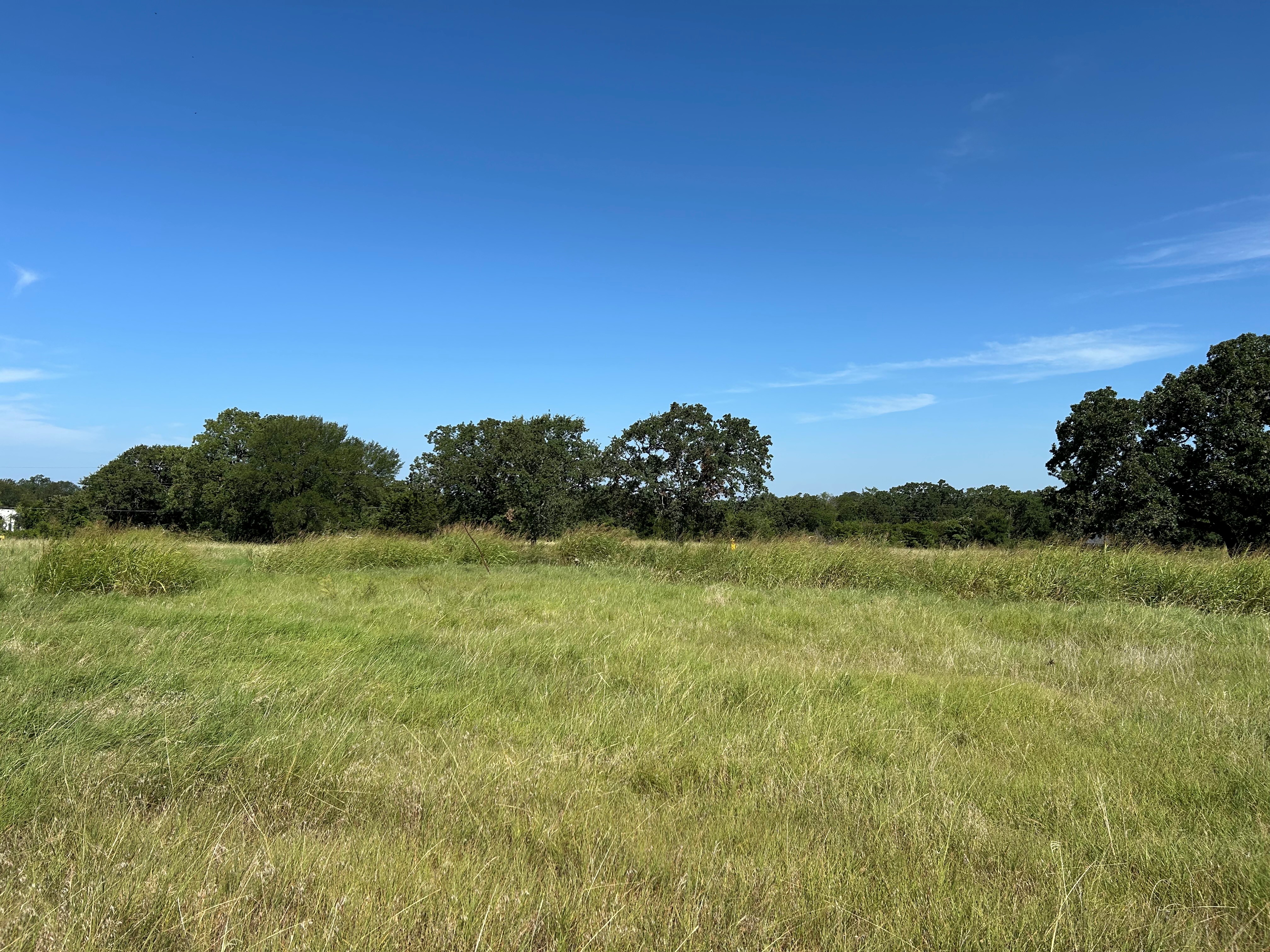 Bridgeport, Texas, 76426, United States, ,Land,For Sale,1982225