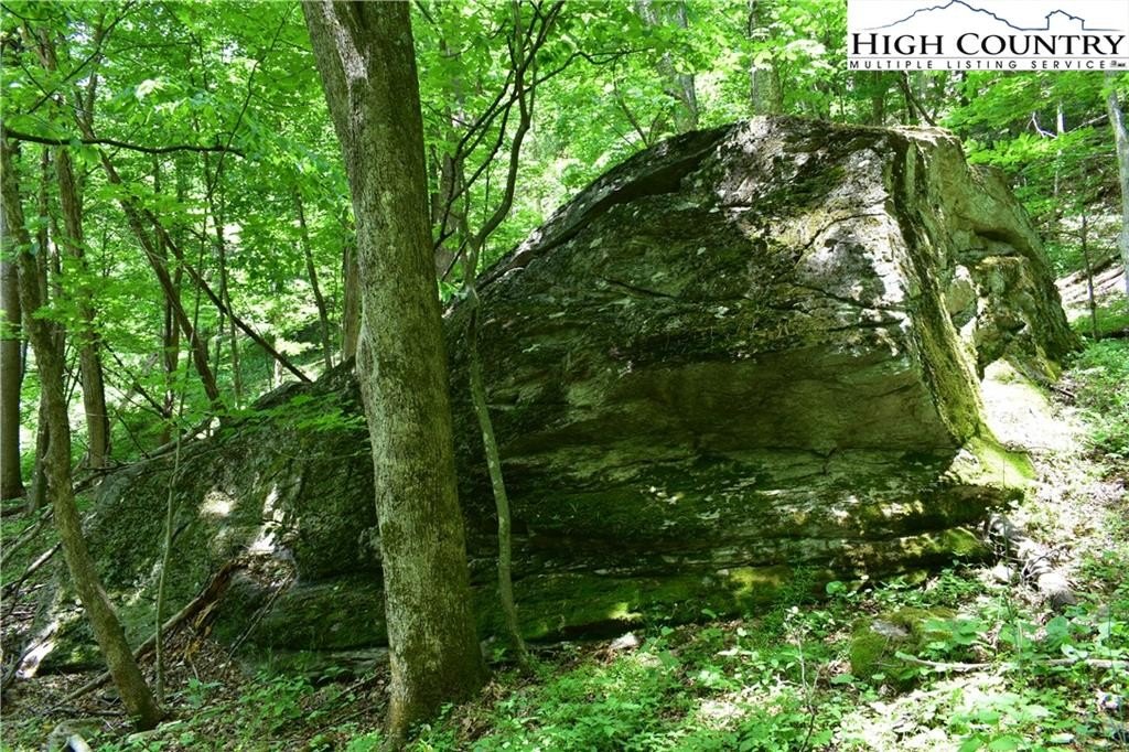 Warrensville, North Carolina, 28693, United States, ,Land,For Sale,1984173