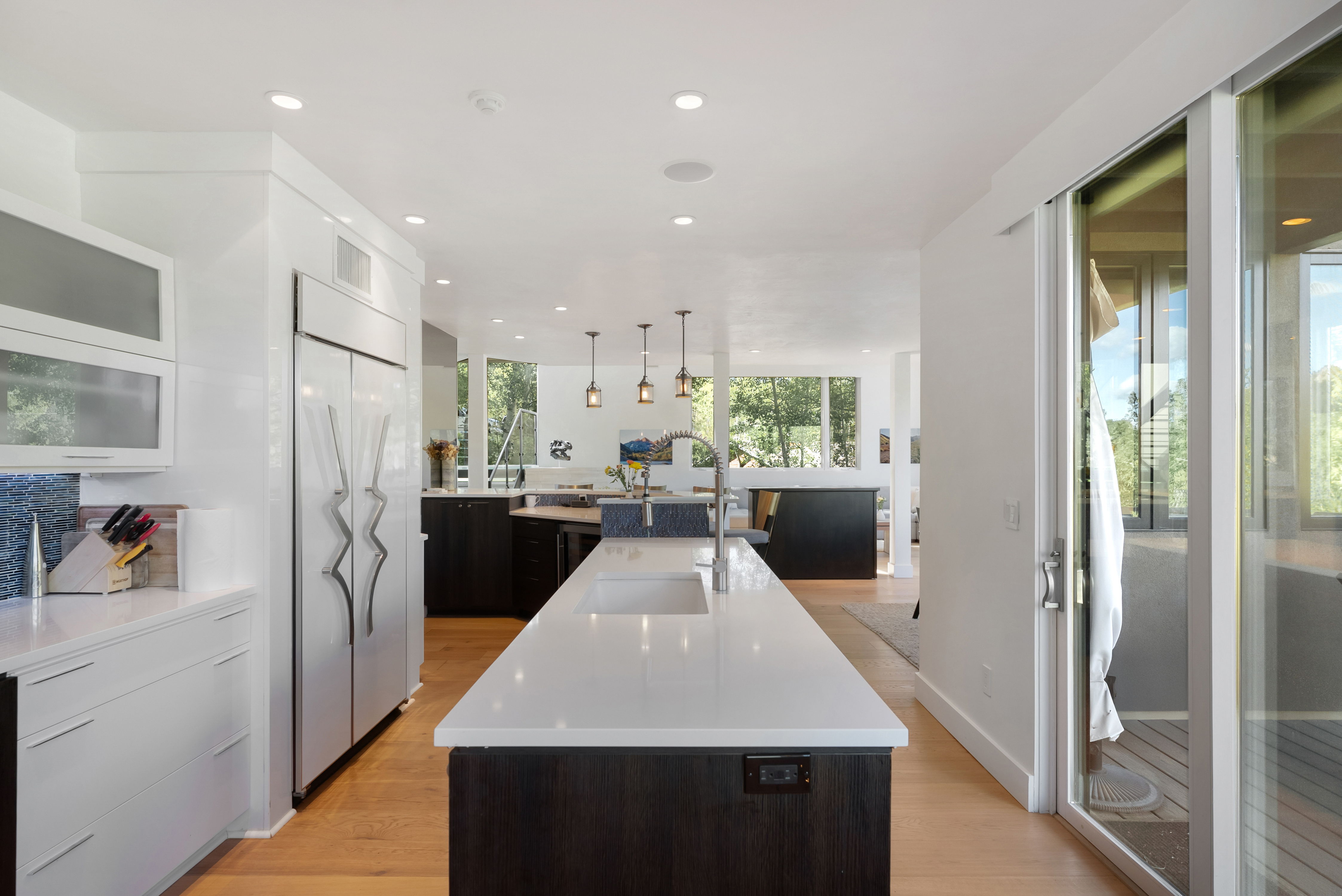  257 Mountain Laurel Drive, Aspen, CO, 81611 - 物件實景