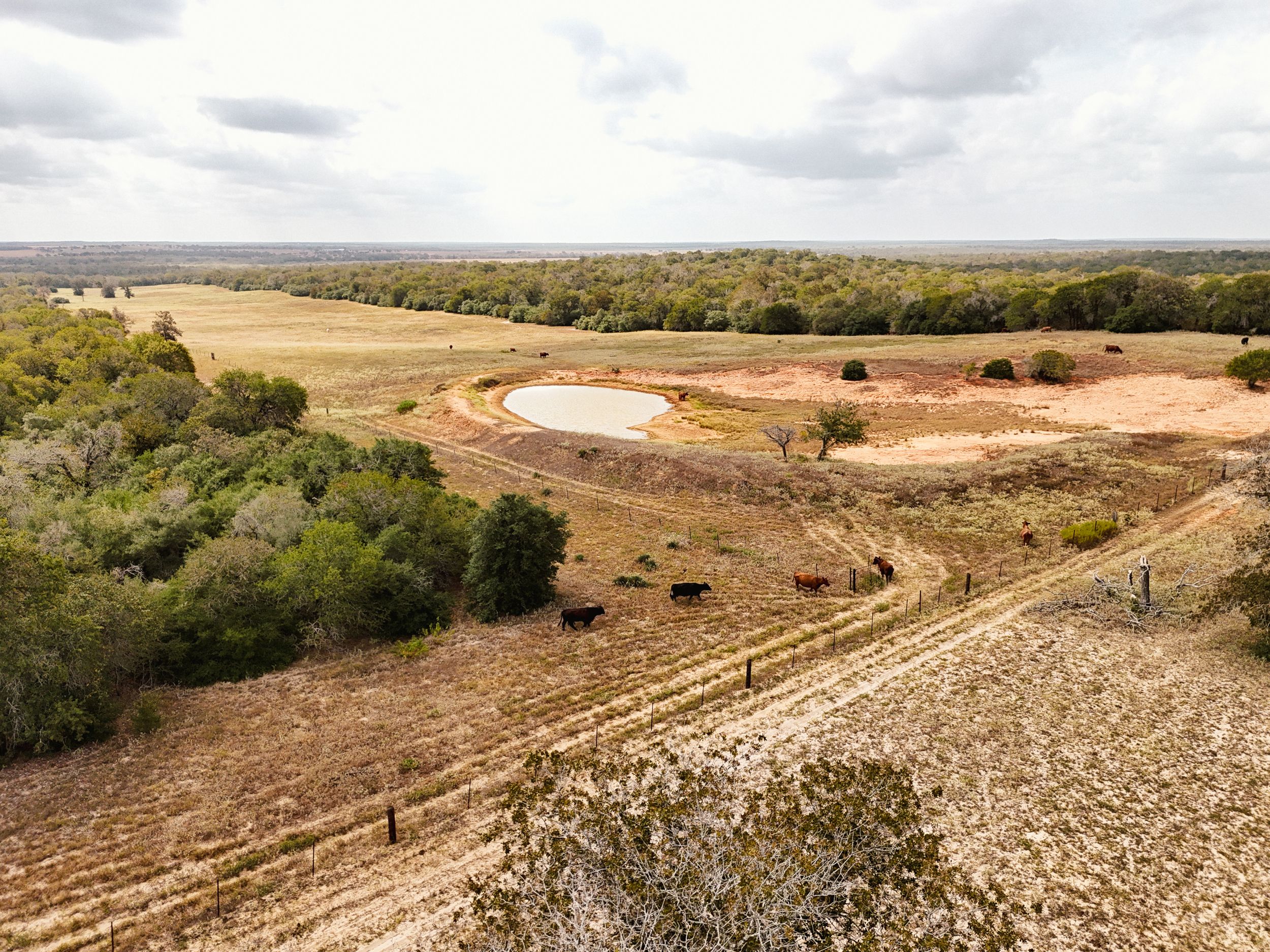  860+/- Acre PQR Ranch in Gonzales County - 物件實景