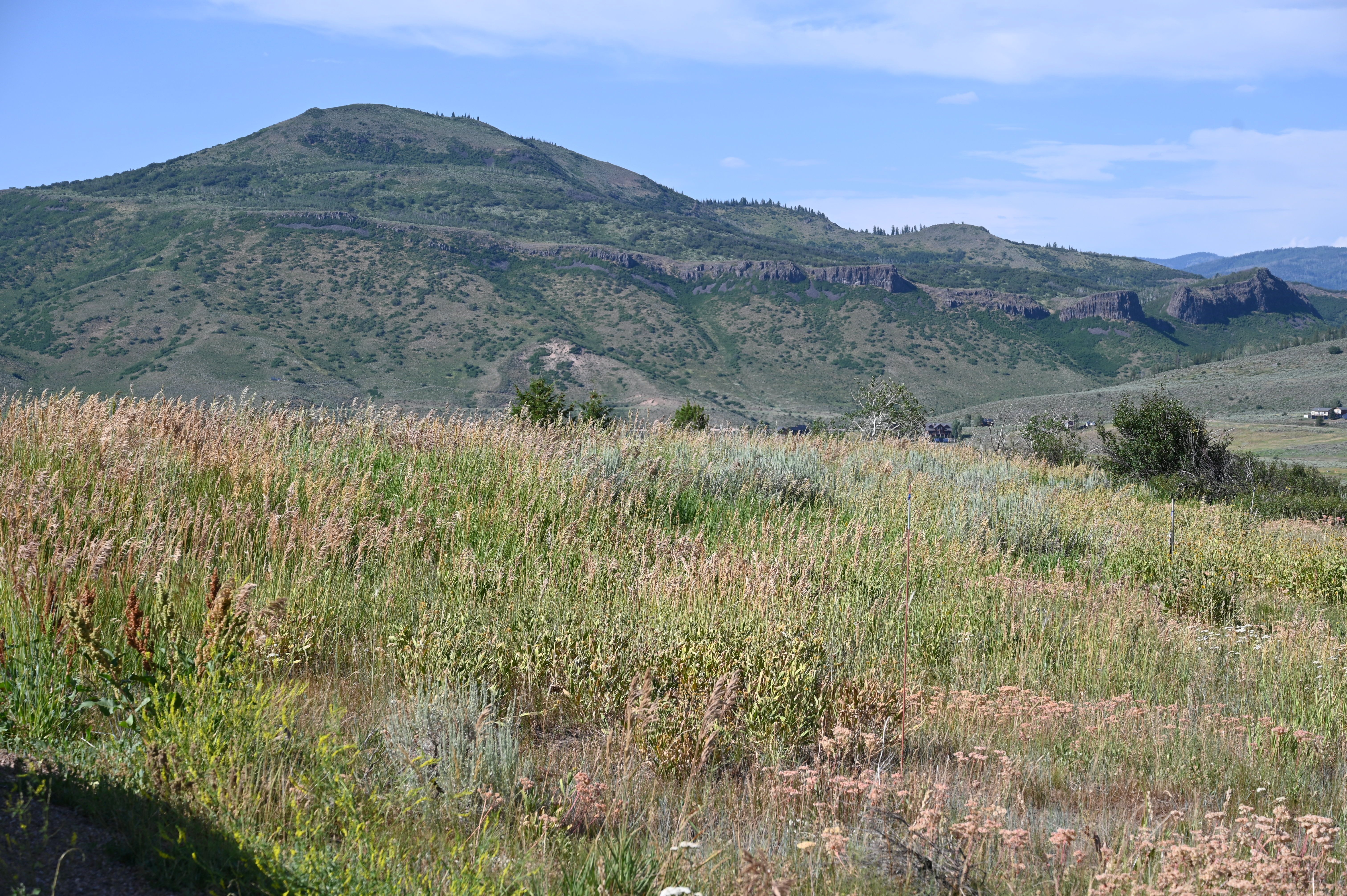  23590 Youngs Creek Way, Oak Creek, CO, 80467 - 物件實景