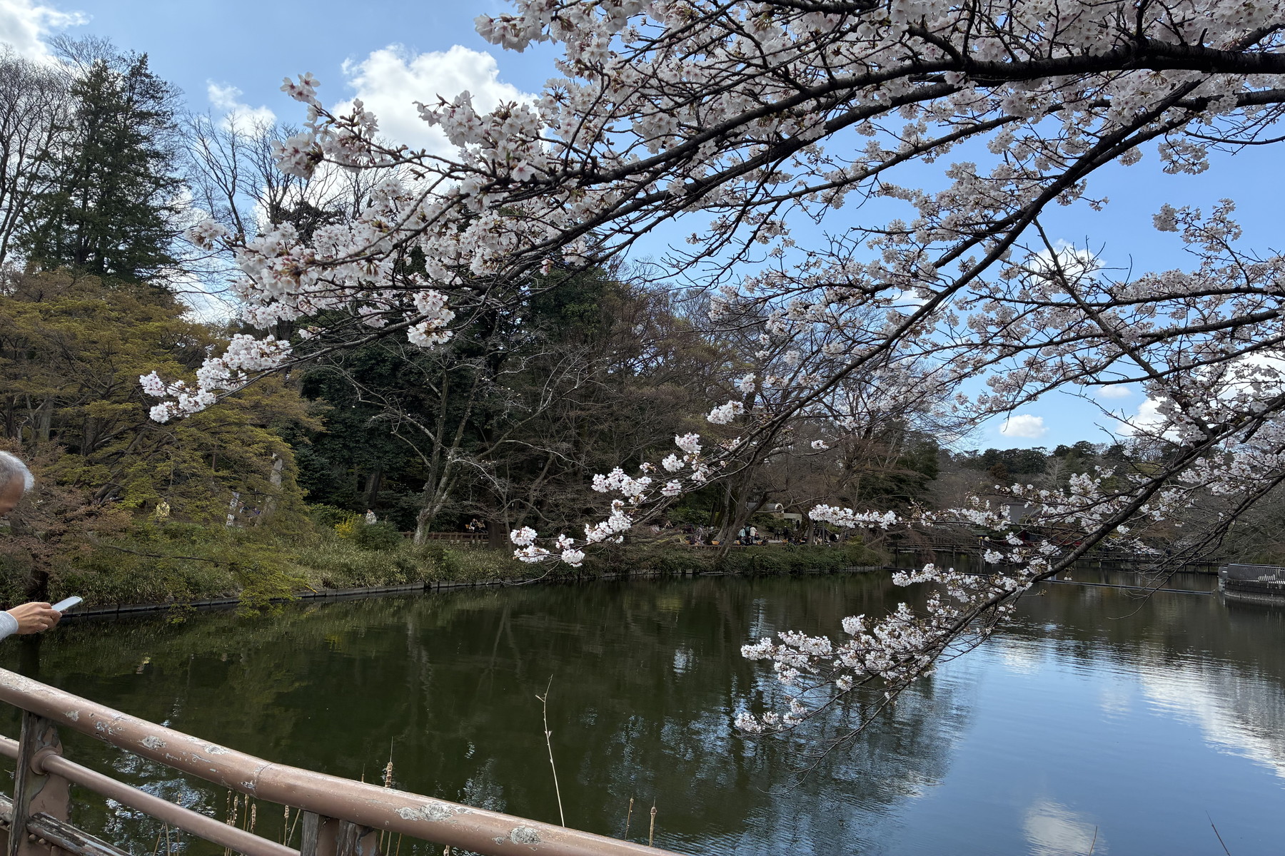  Inokashira Parkside Residence - 物件實景
