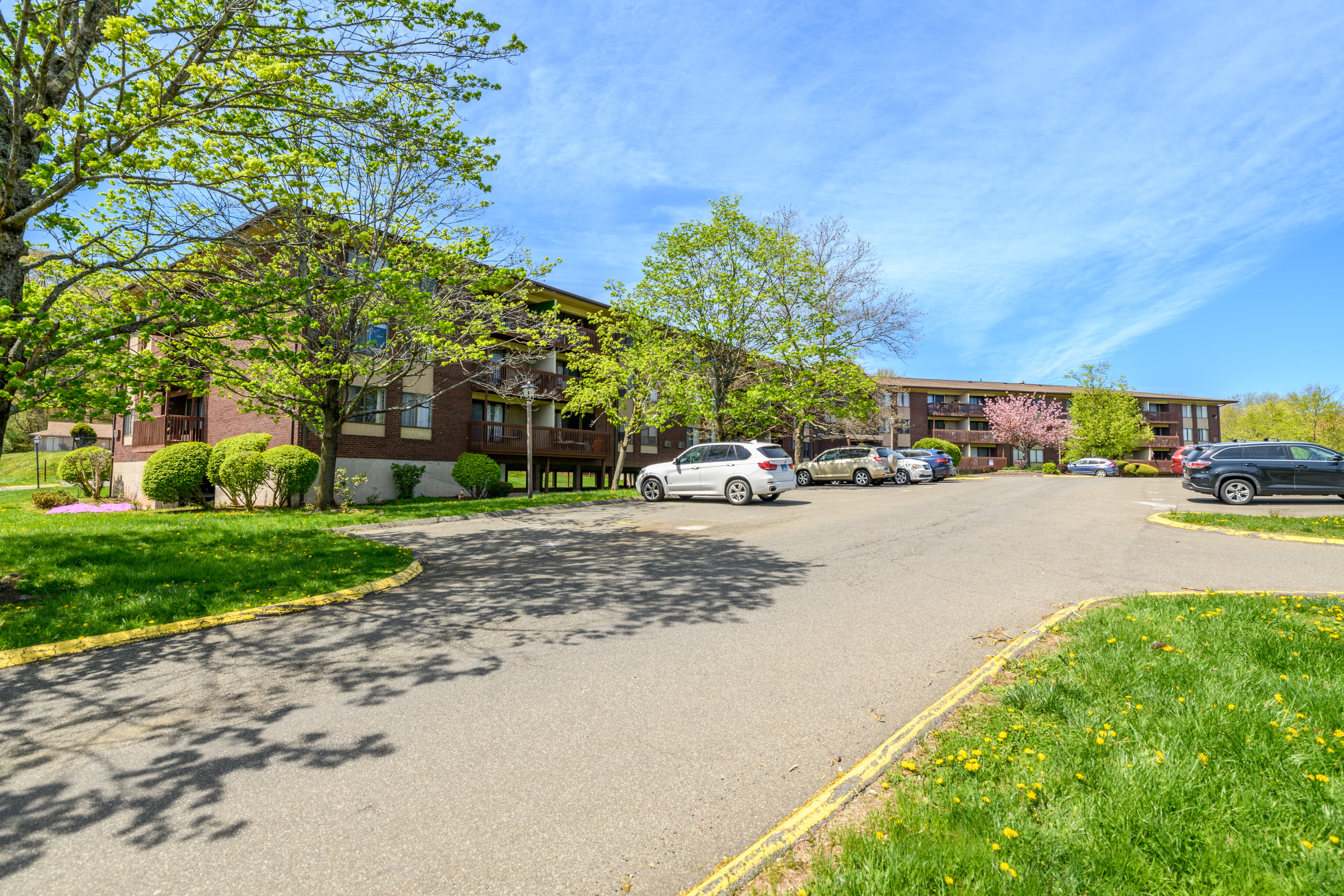  1219 Cromwell Hills Drive - 物件實景