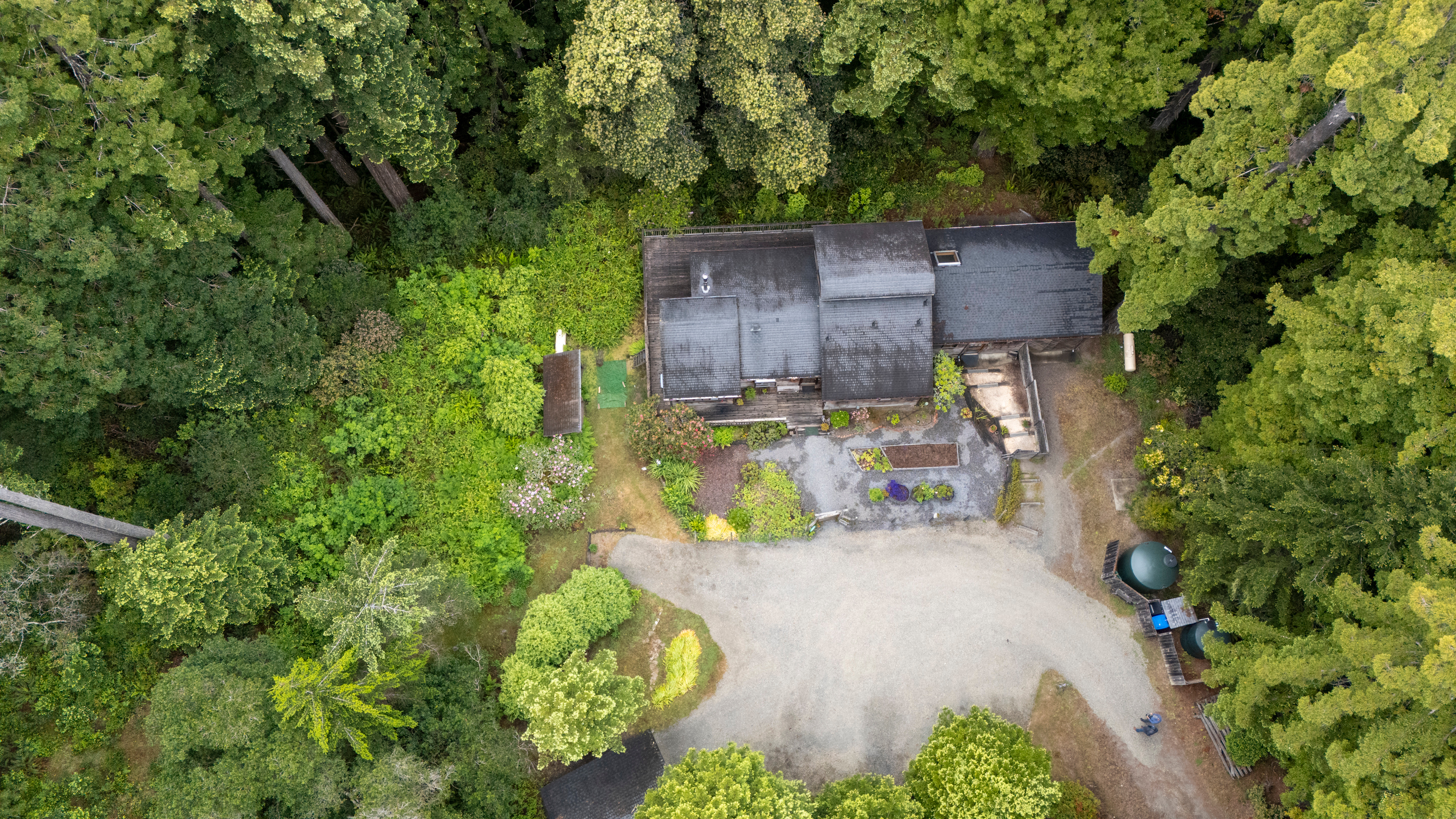  Forest Sanctuary Near Mendocino - 物件實景