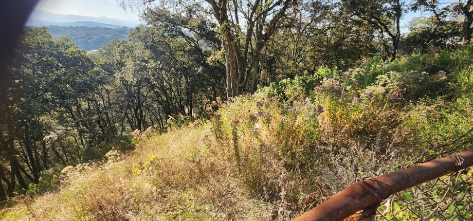 Atizapán de Zaragoza, Estado de méxico, 52938, Mexico, 1 Bedroom Bedrooms, ,Residential,For Sale,2000742