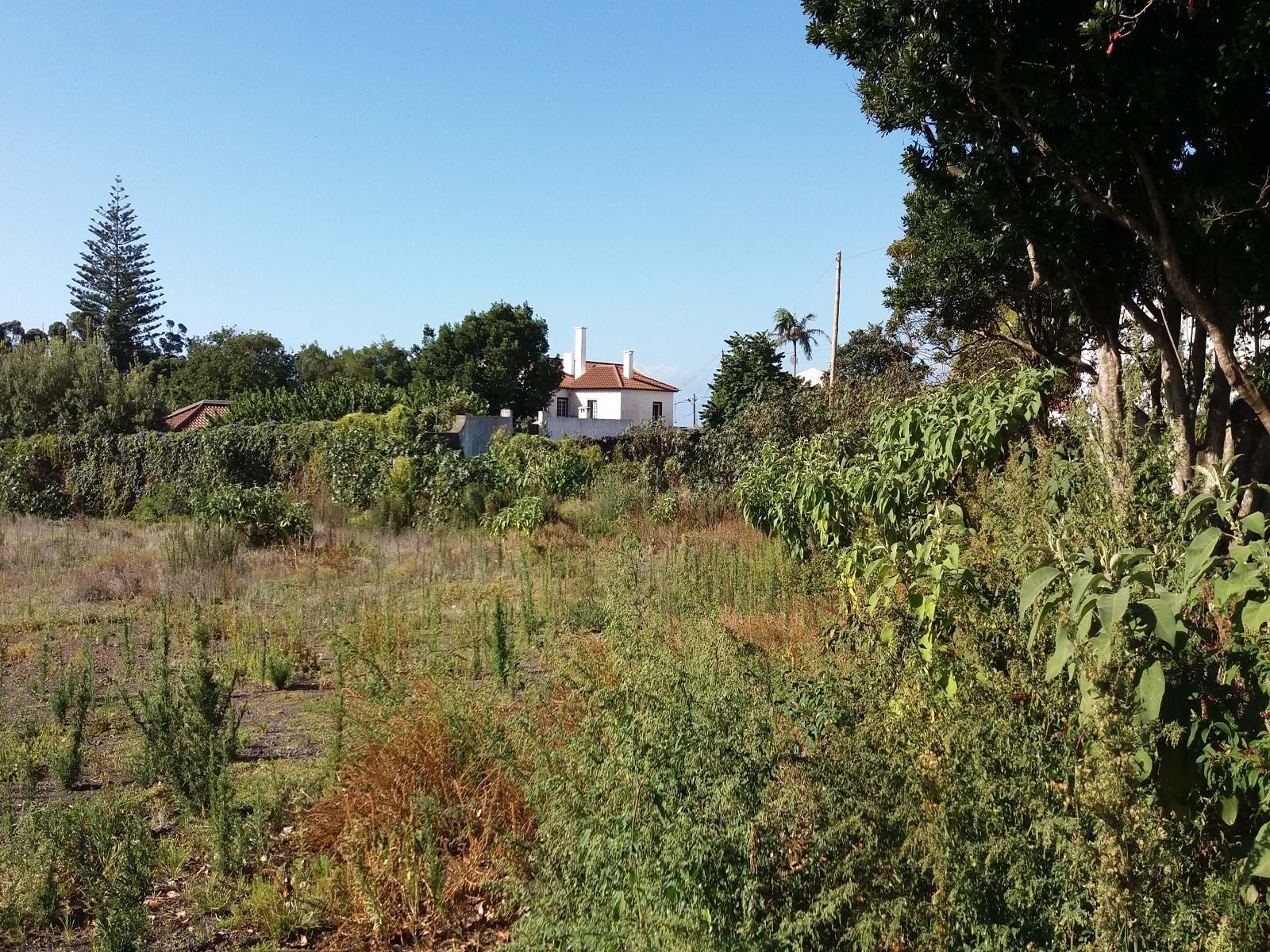 Ponta Delgada, Ilha de São Miguel, 9500-000, PT, ,Land,For Sale,1700309