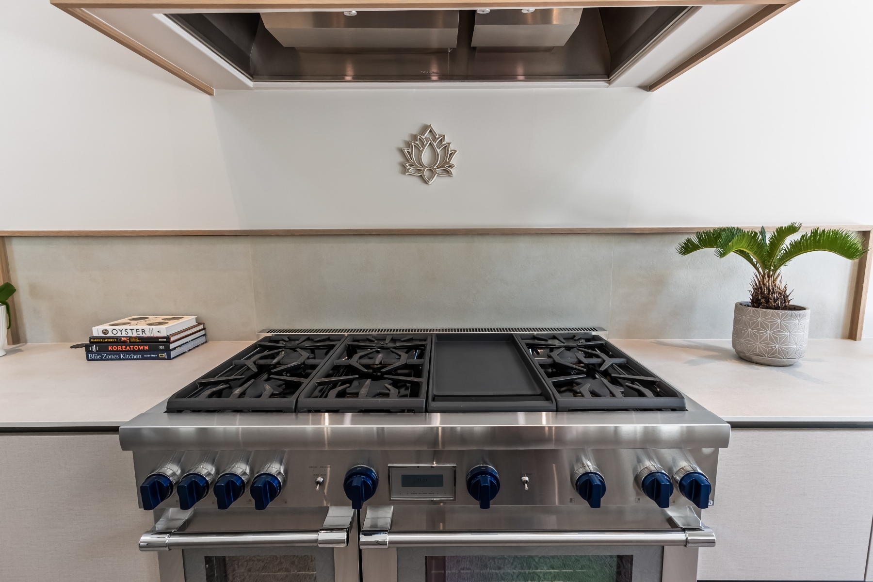  700 Stucco Lane, Mount Pleasant - 物件實景