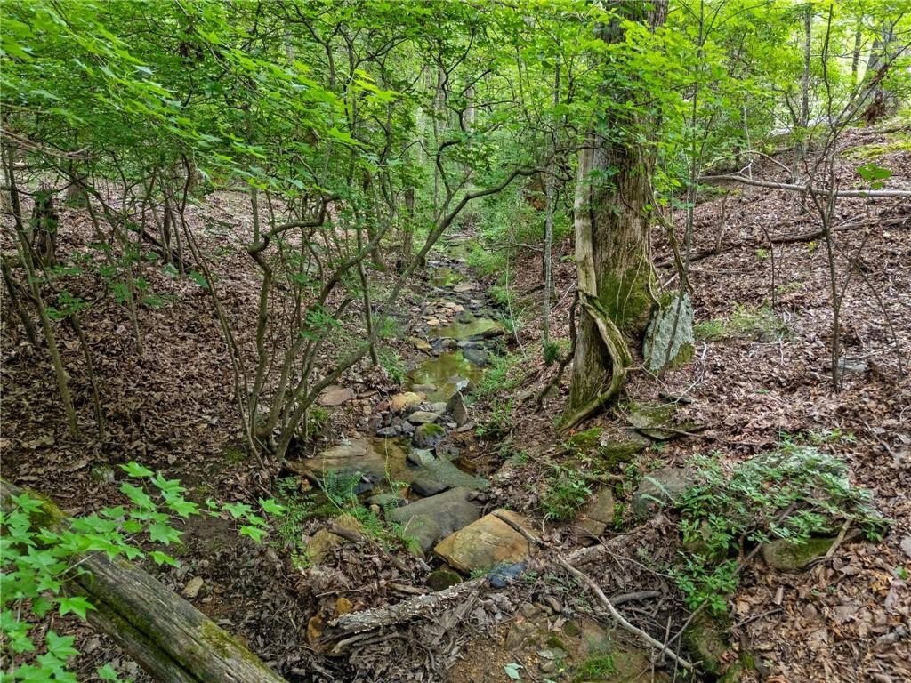 Jasper, Georgia, 30143, United States, 4 Bedrooms Bedrooms, ,4 BathroomsBathrooms,Residential,For Sale,1975292