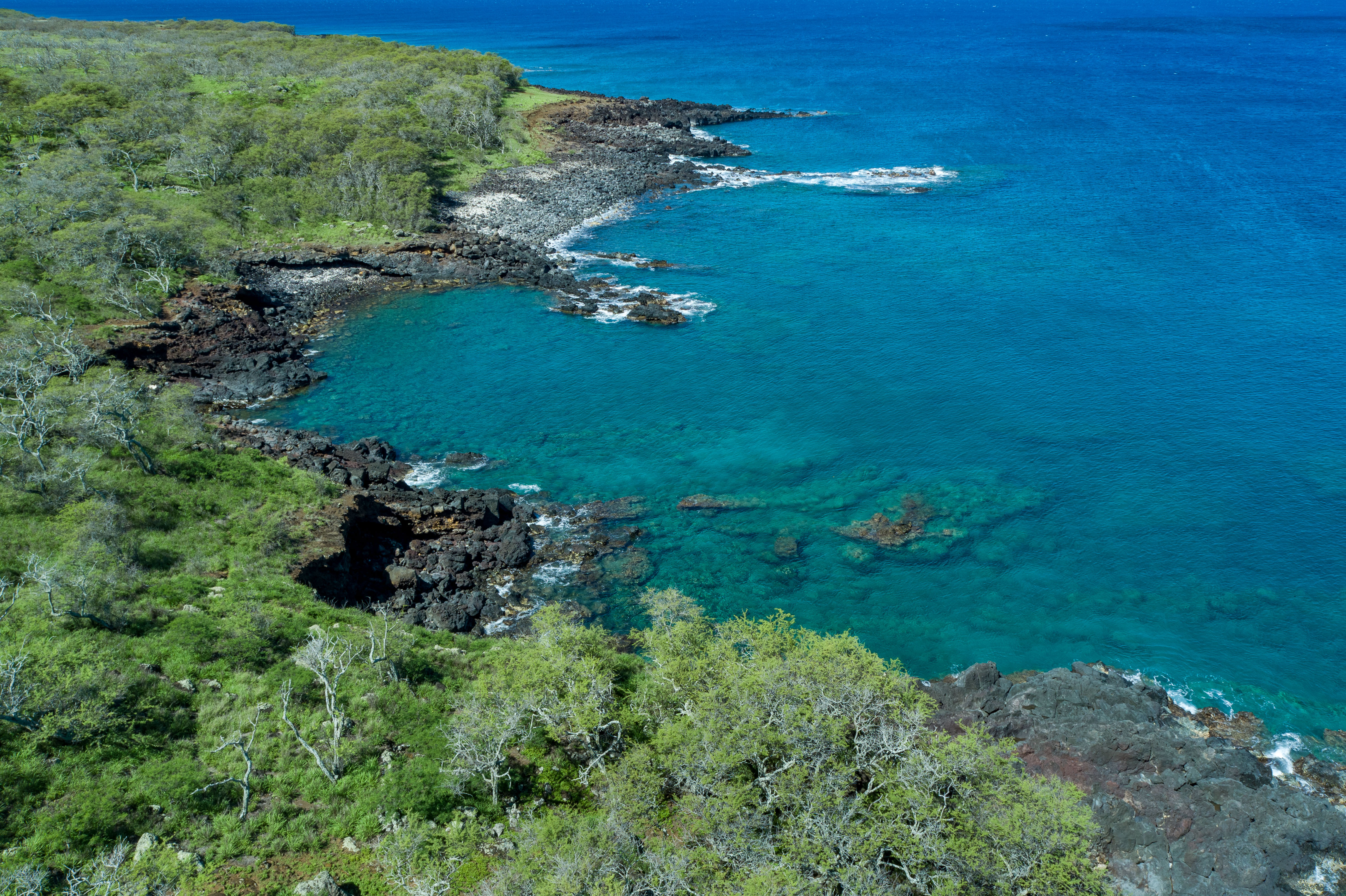 Hawi, Hawaii, 96719, United States, ,Land,For Sale,1758944
