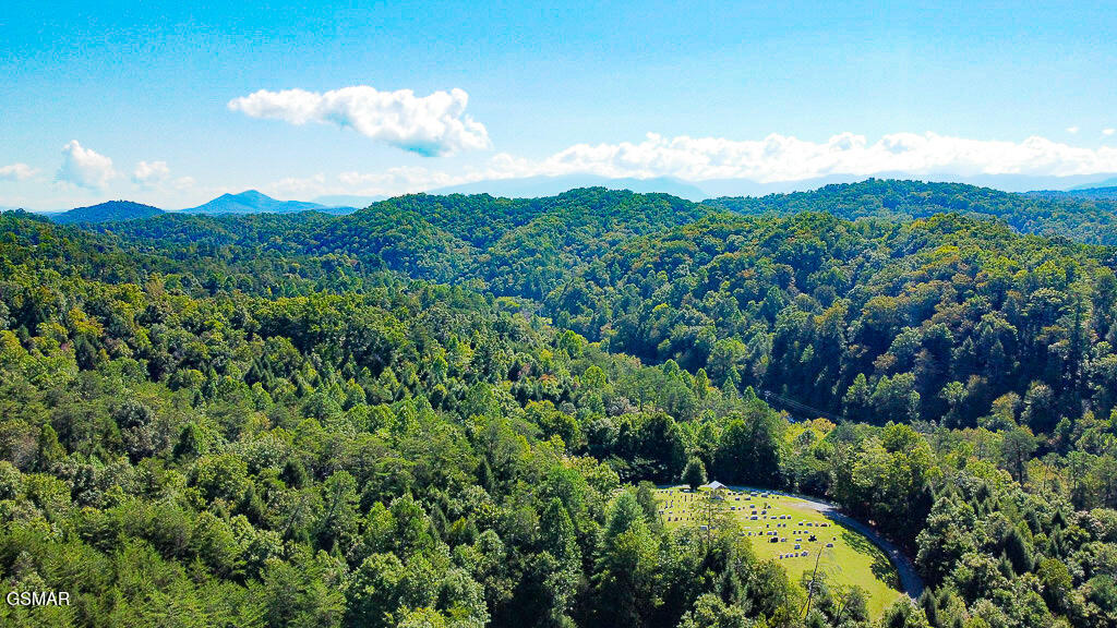 Sevierville, Tennessee, 37876, United States, 3 Bedrooms Bedrooms, ,2 BathroomsBathrooms,Residential,For Sale,1977531