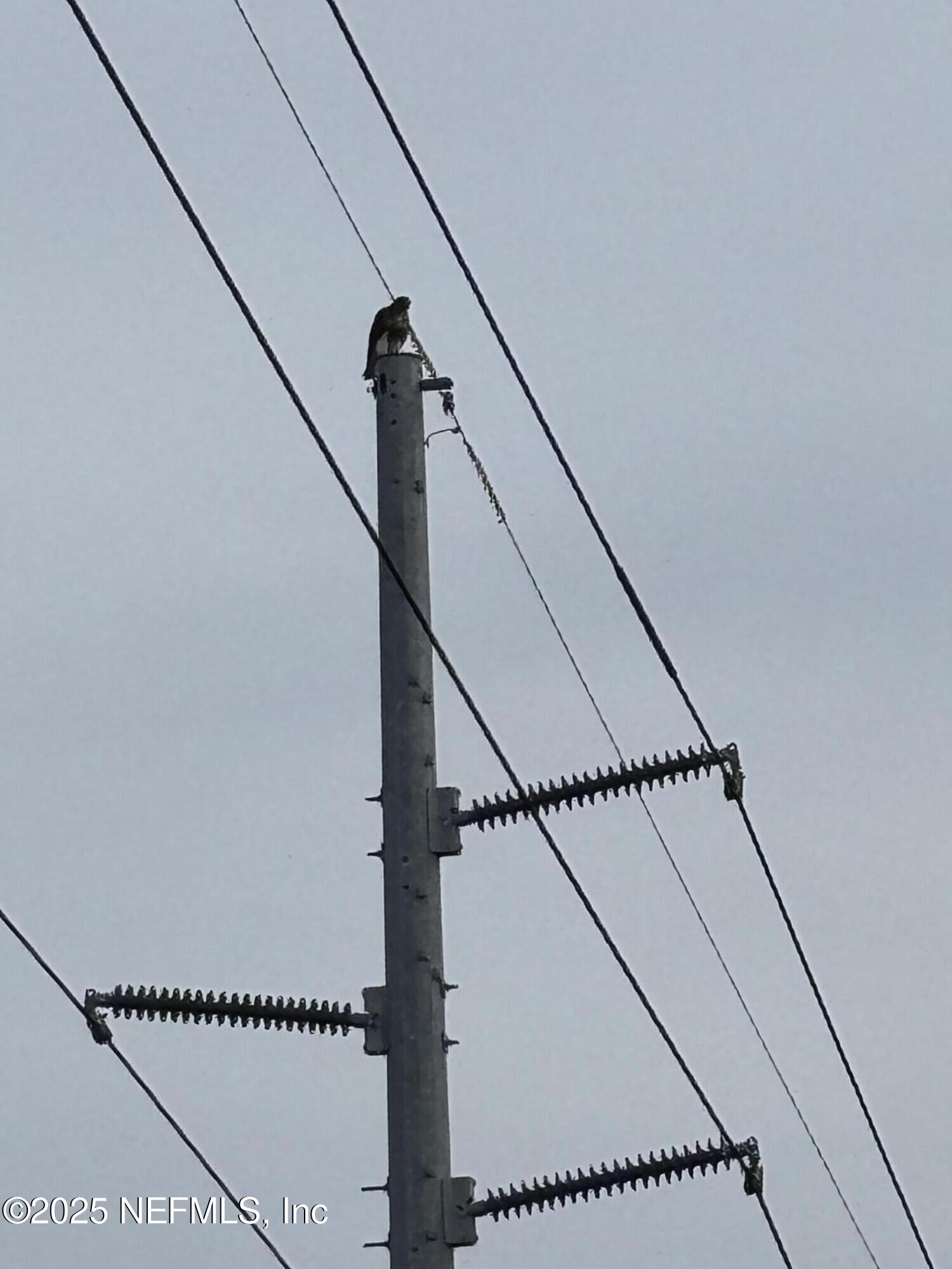 Apopka, Florida, 32712, United States, ,Land,For Sale,2003118