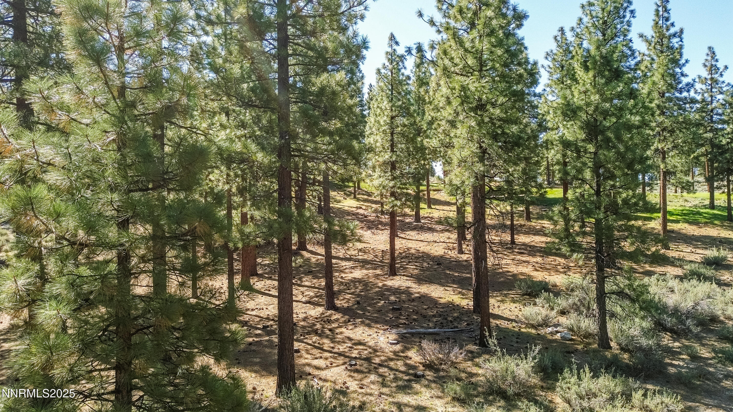 Carson City, Nevada, 89705, United States, ,Land,For Sale,1846834