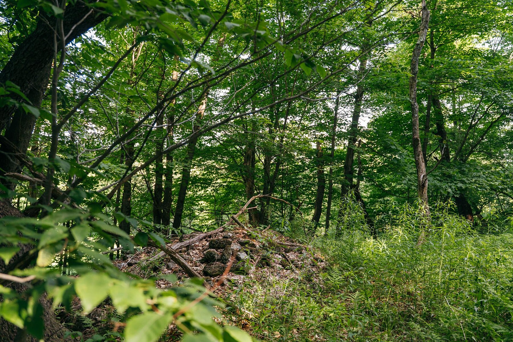  Sutton, Eastern Townships - 物件實景