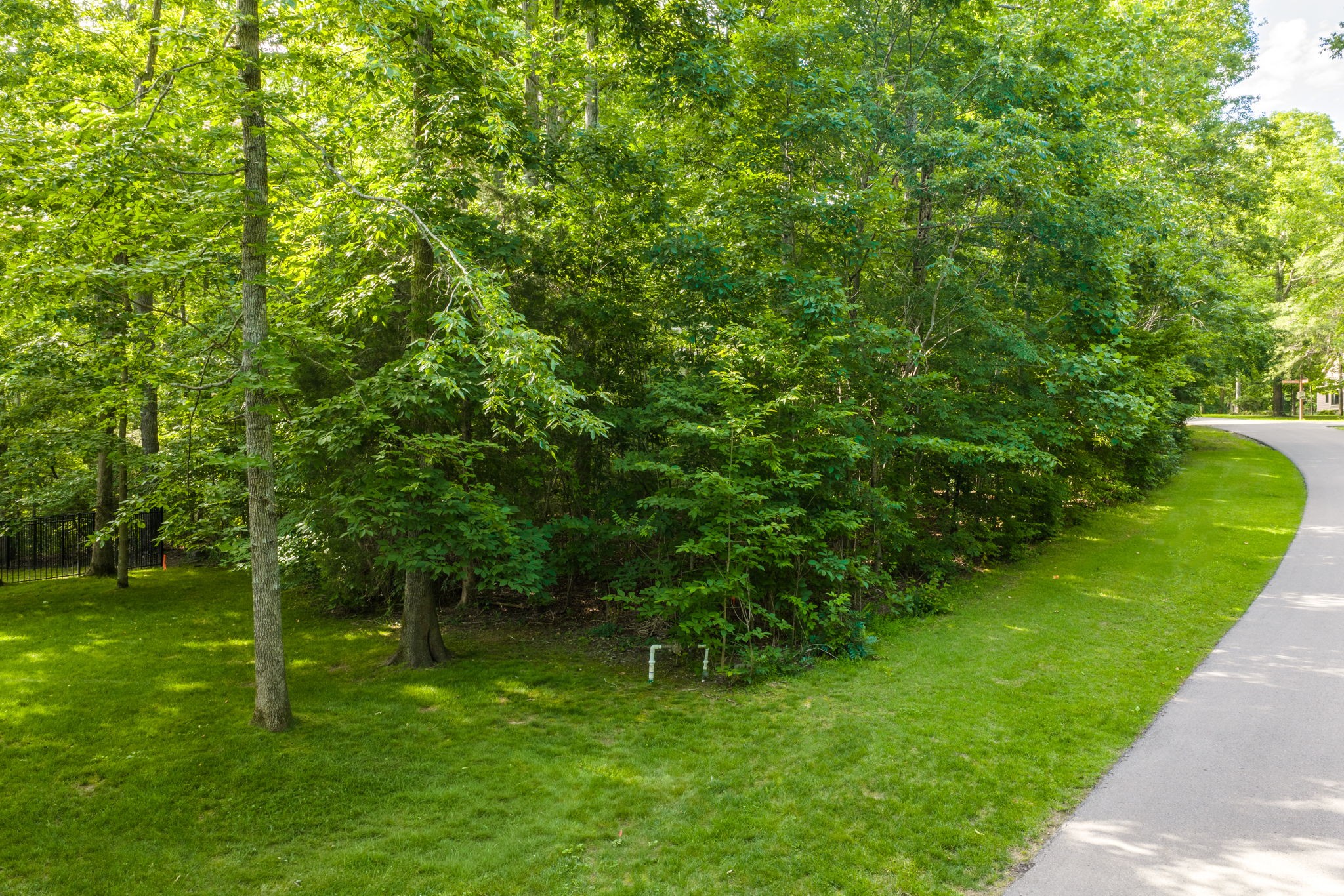  1011 Champion Hills Dr, Kingston Springs, TN, 37082 - 物件實景