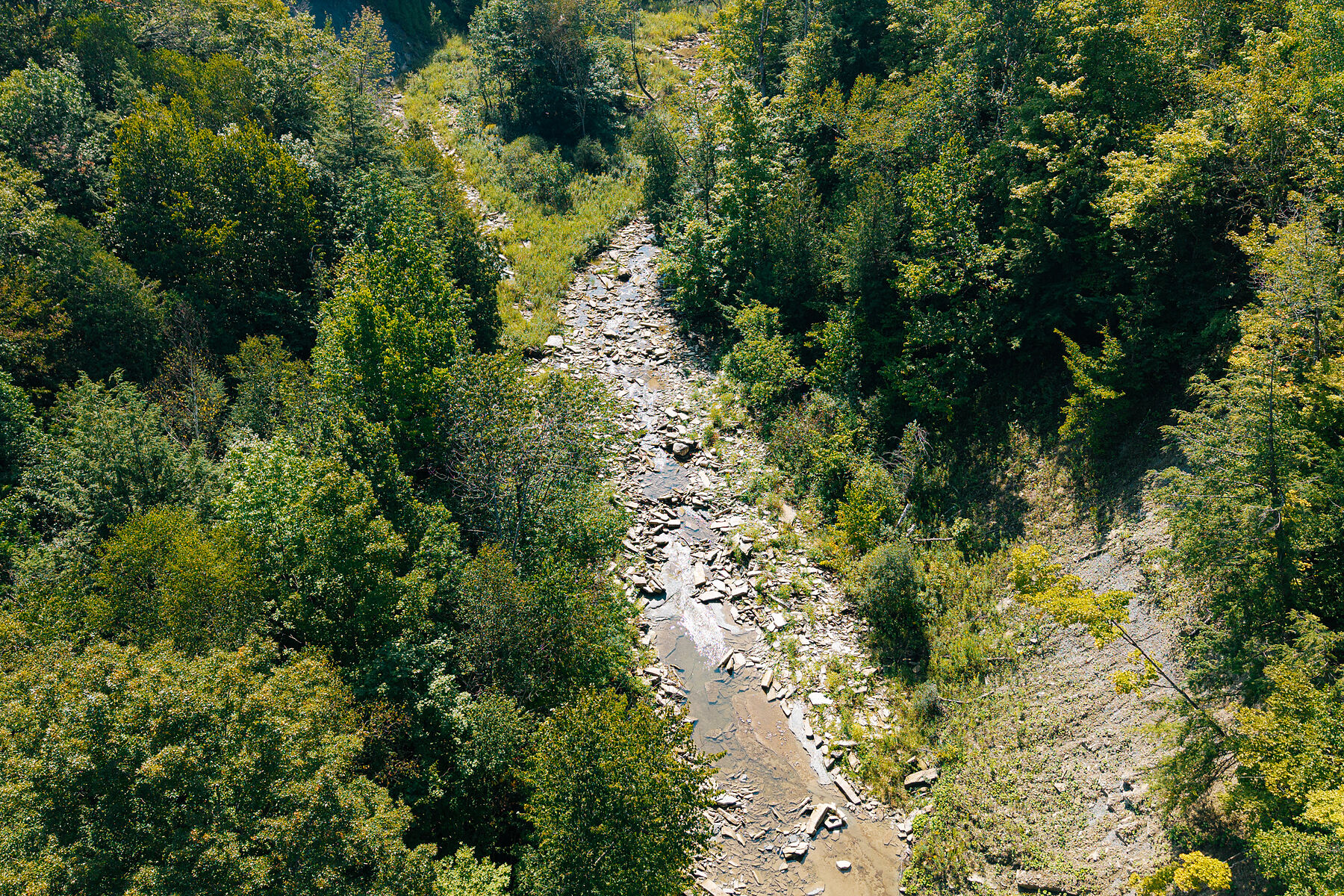  Rockcliffe Estates, Meaford - 物件實景