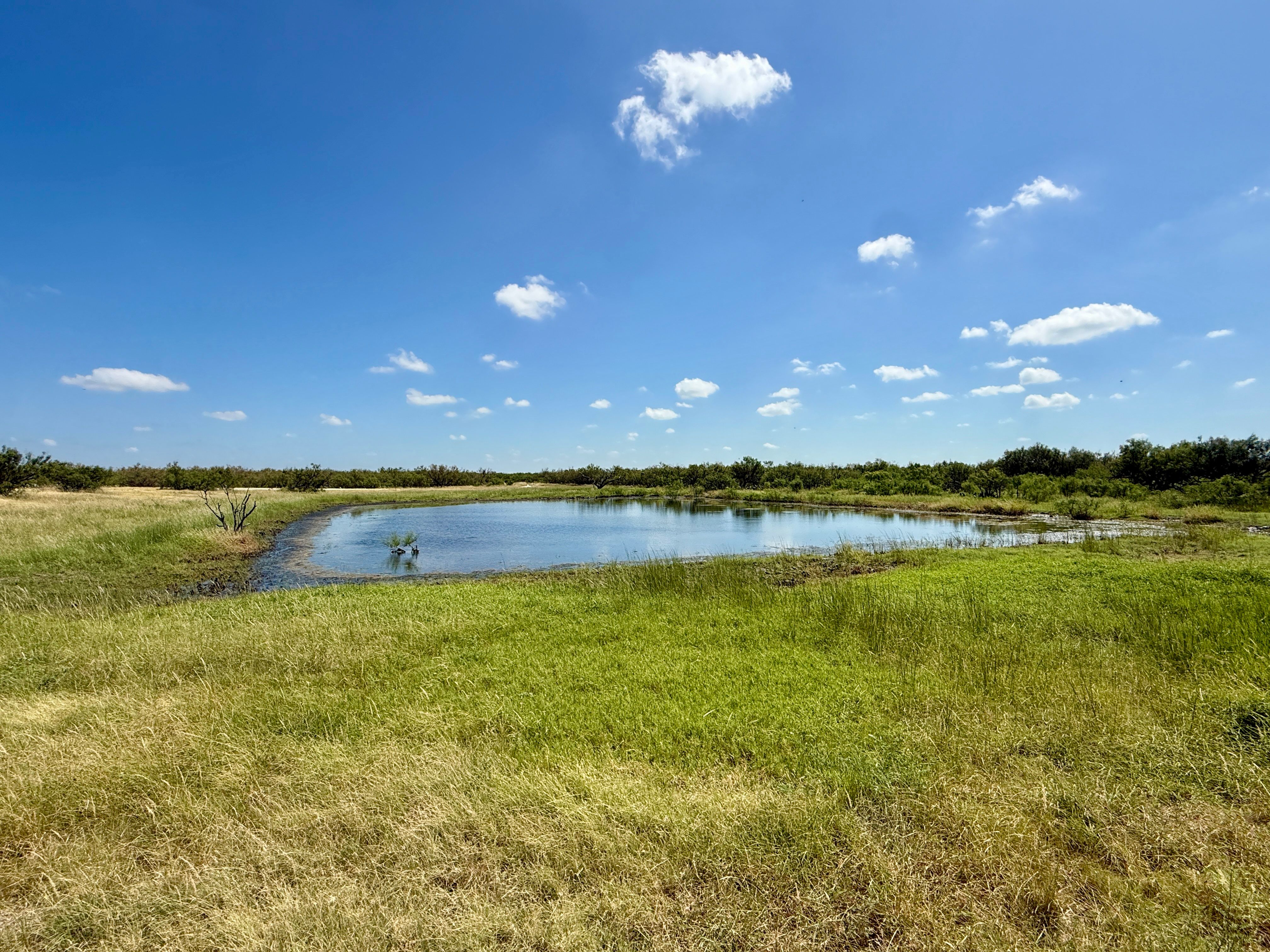  7, 902 +/- Las Moras Creek - 物件實景