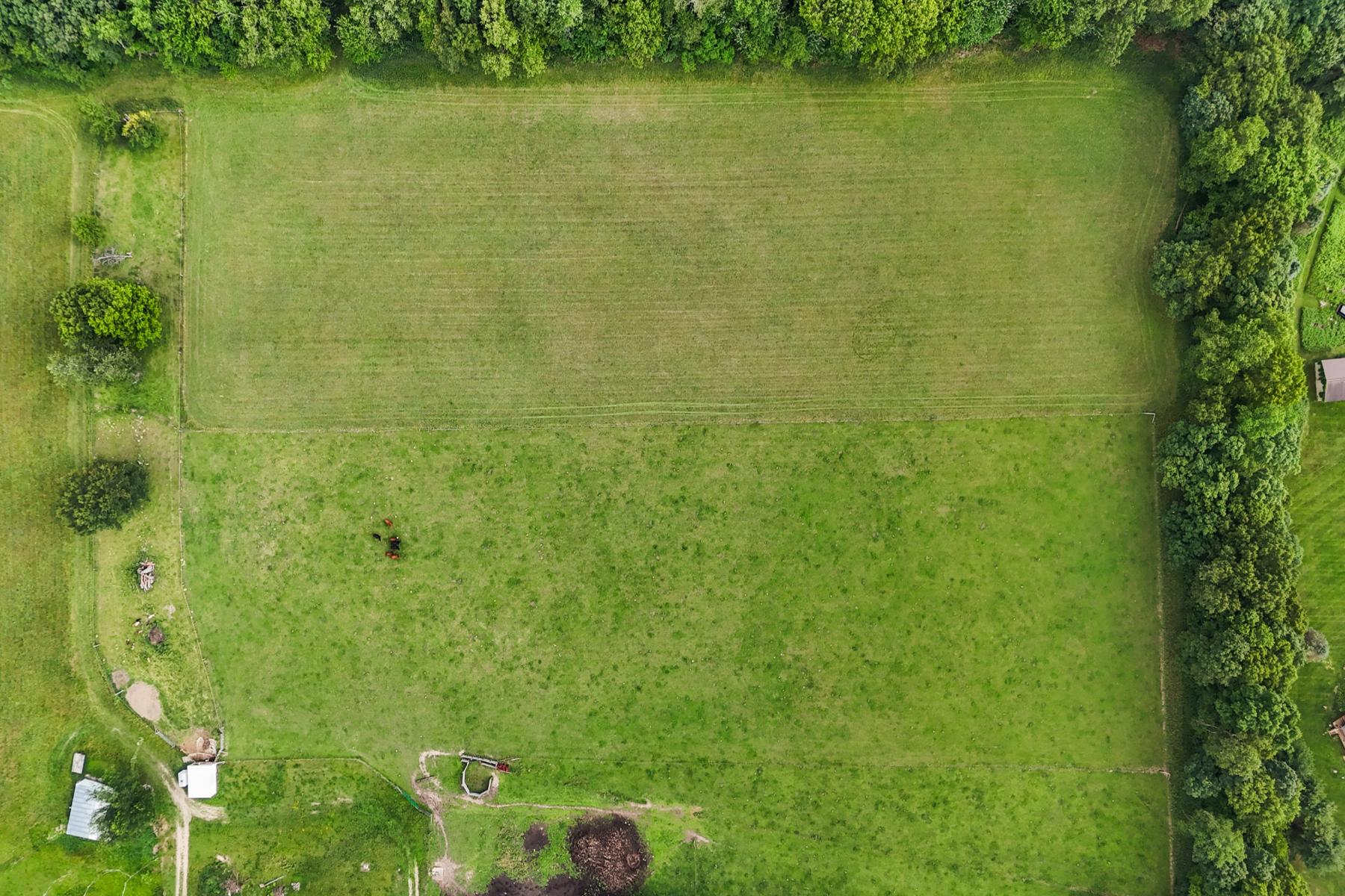  Groveland Township - 物件實景