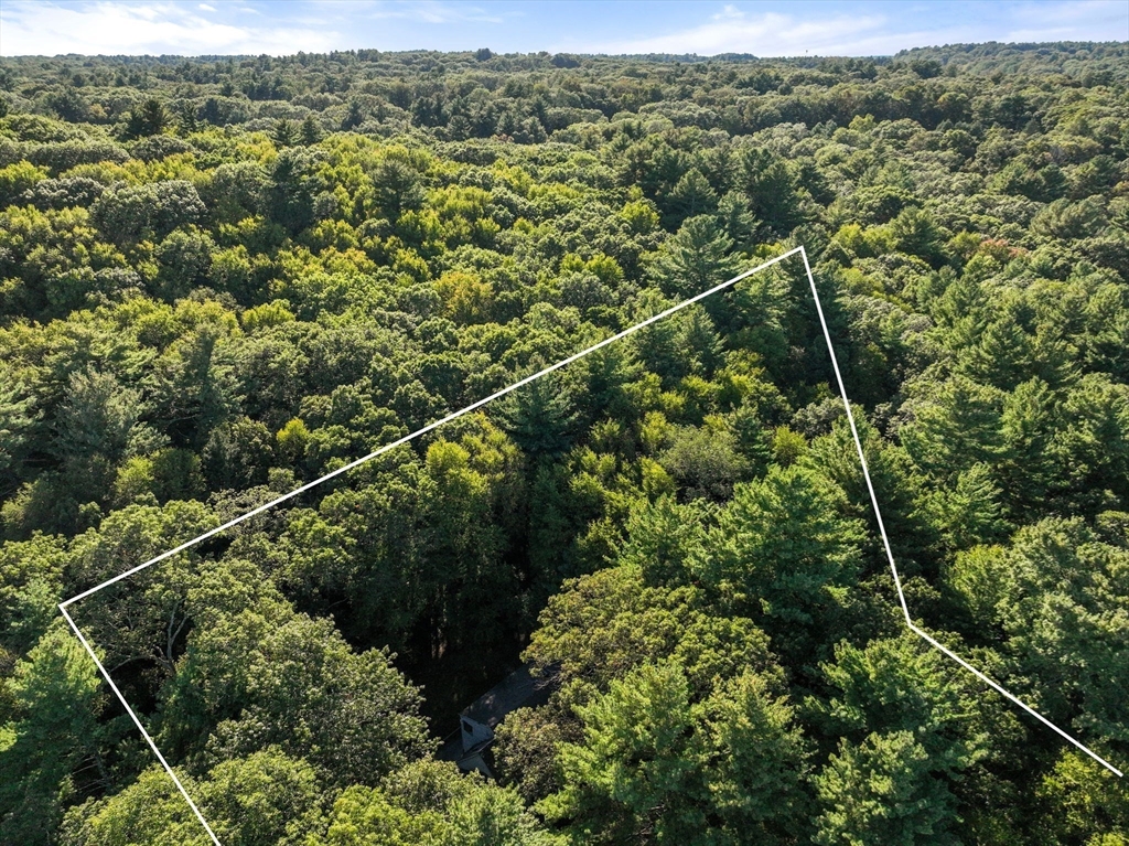 Weston, Massachusetts, 02493, United States, 4 Bedrooms Bedrooms, ,3 BathroomsBathrooms,Residential,For Sale,1989390