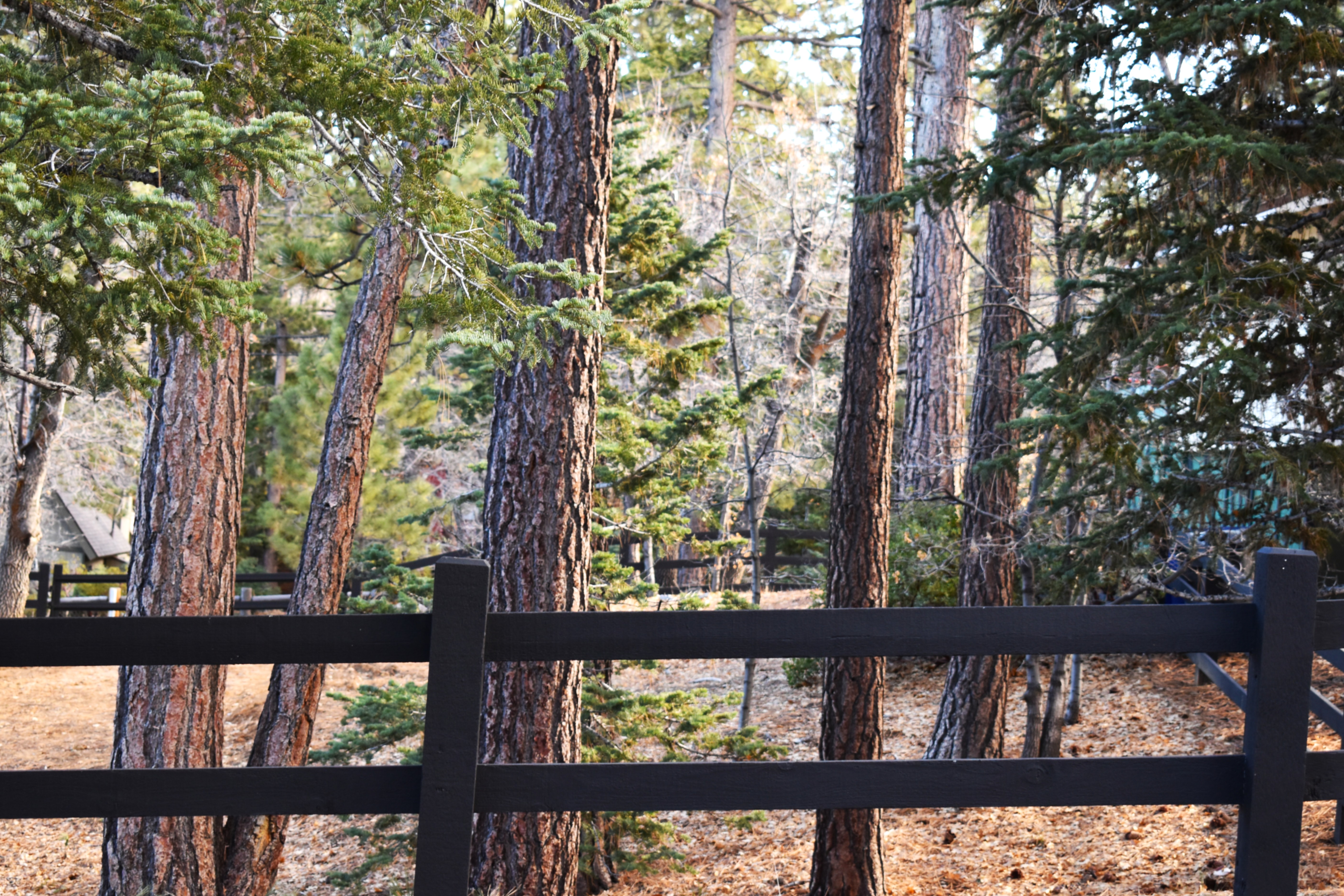  812 Ford Lane, Big Bear Lake, CA 92315 - 物件實景