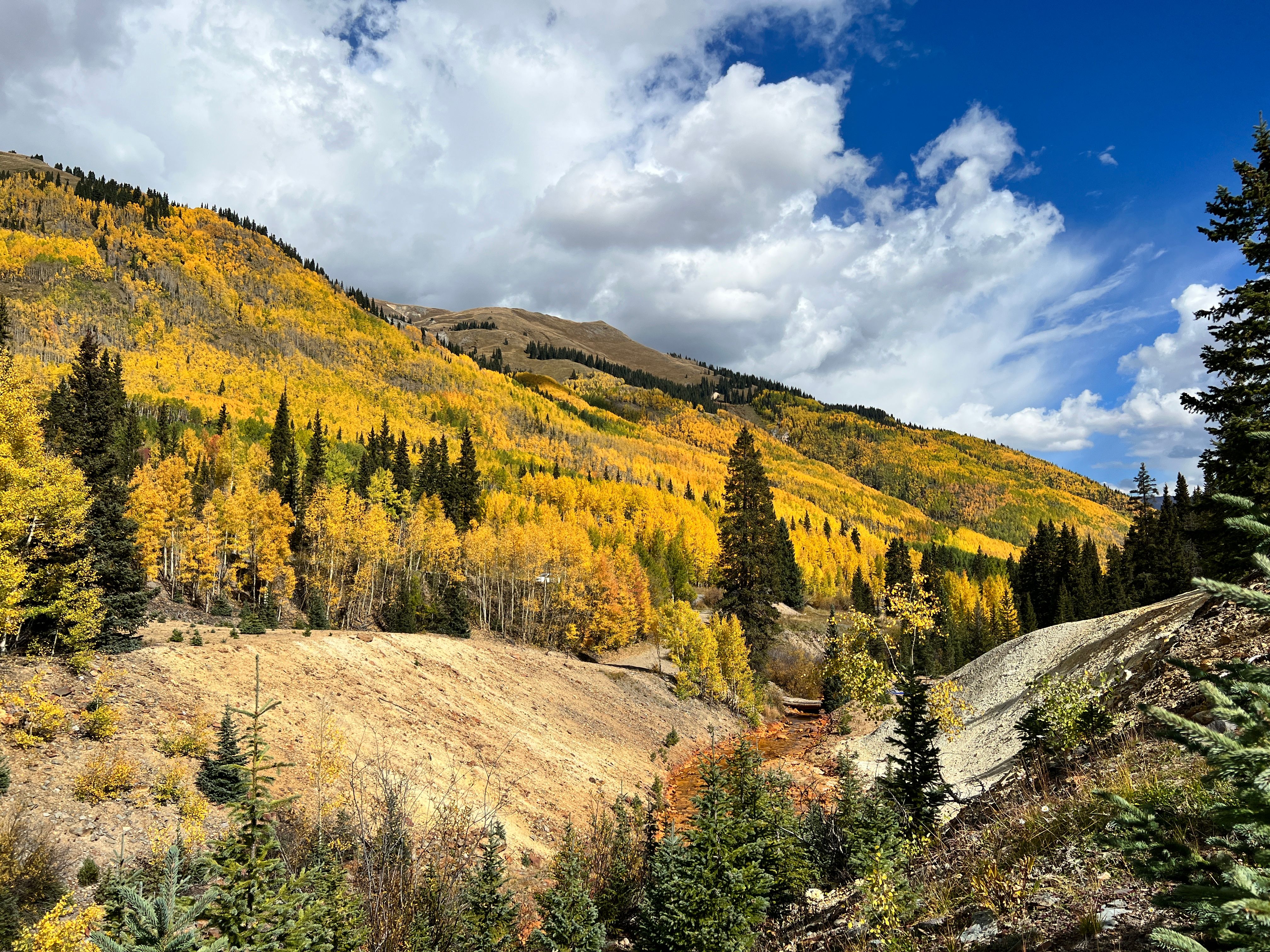  Alpine Estate with Acreage between Ouray and Silverton - 物件實景