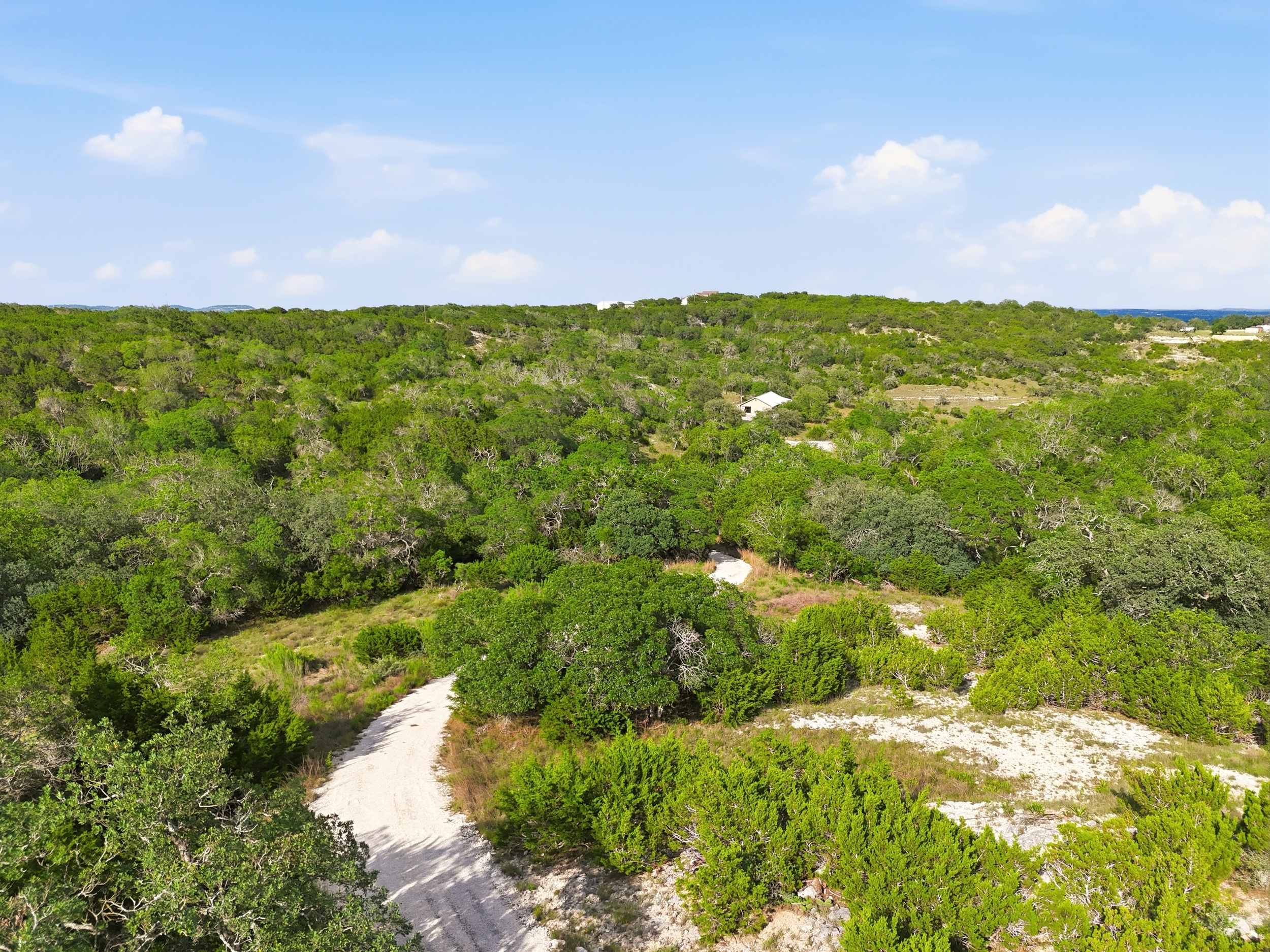  72+/- Acre Palmetto Creek Ranch - 物件實景