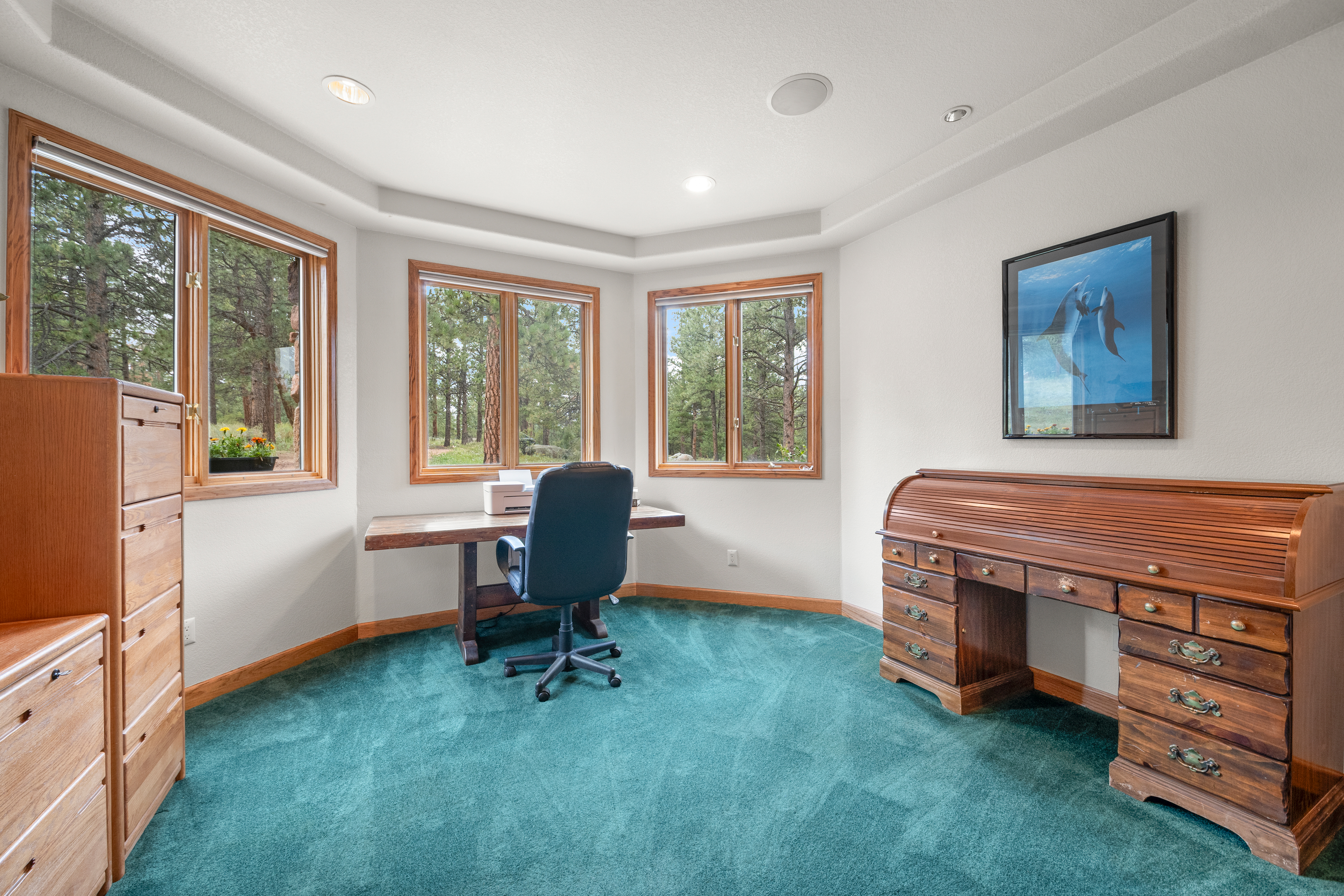  Perfect Blend of Space and Colorado Living That Backs to Pike National Forest - 物件實景