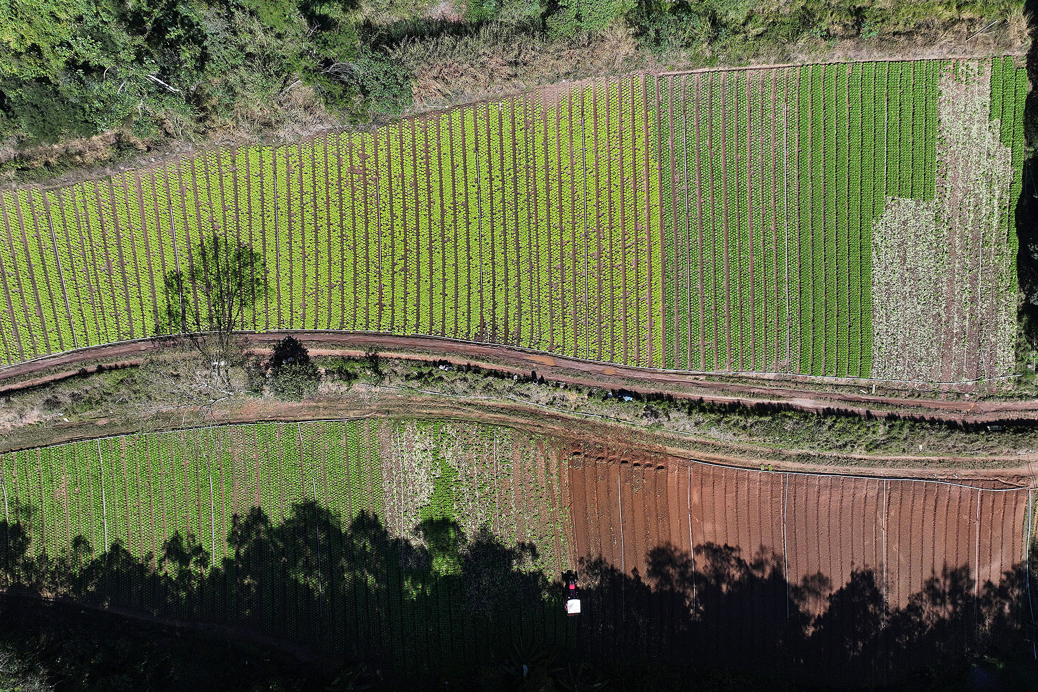  Productive estate spanning 865 acres in the mountains of Teresópolis - 物件實景