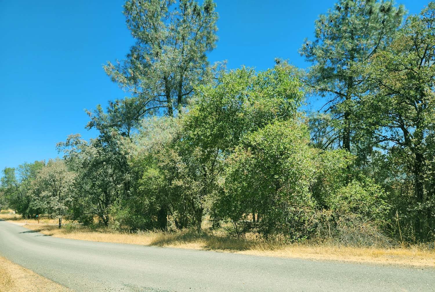 Oregon House, California, 95962, United States, 4 Bedrooms Bedrooms, ,3 BathroomsBathrooms,Residential,For Sale,1976473