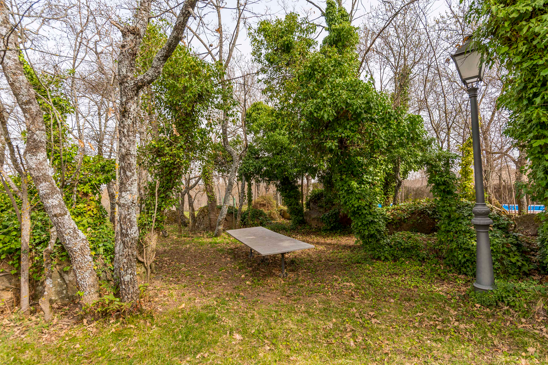  Spectacular estate for promotion in Sotosalbos, Segovia - 物件實景