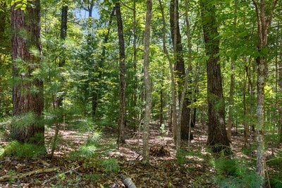 Blairsville, Georgia, 30512, United States, ,Land,For Sale,1933654