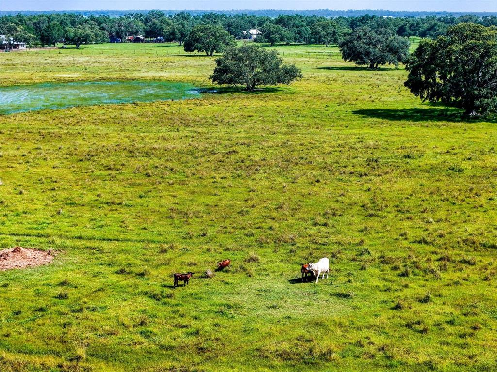 Myakka City, Florida, 34251, United States, ,Land,For Sale,1908306