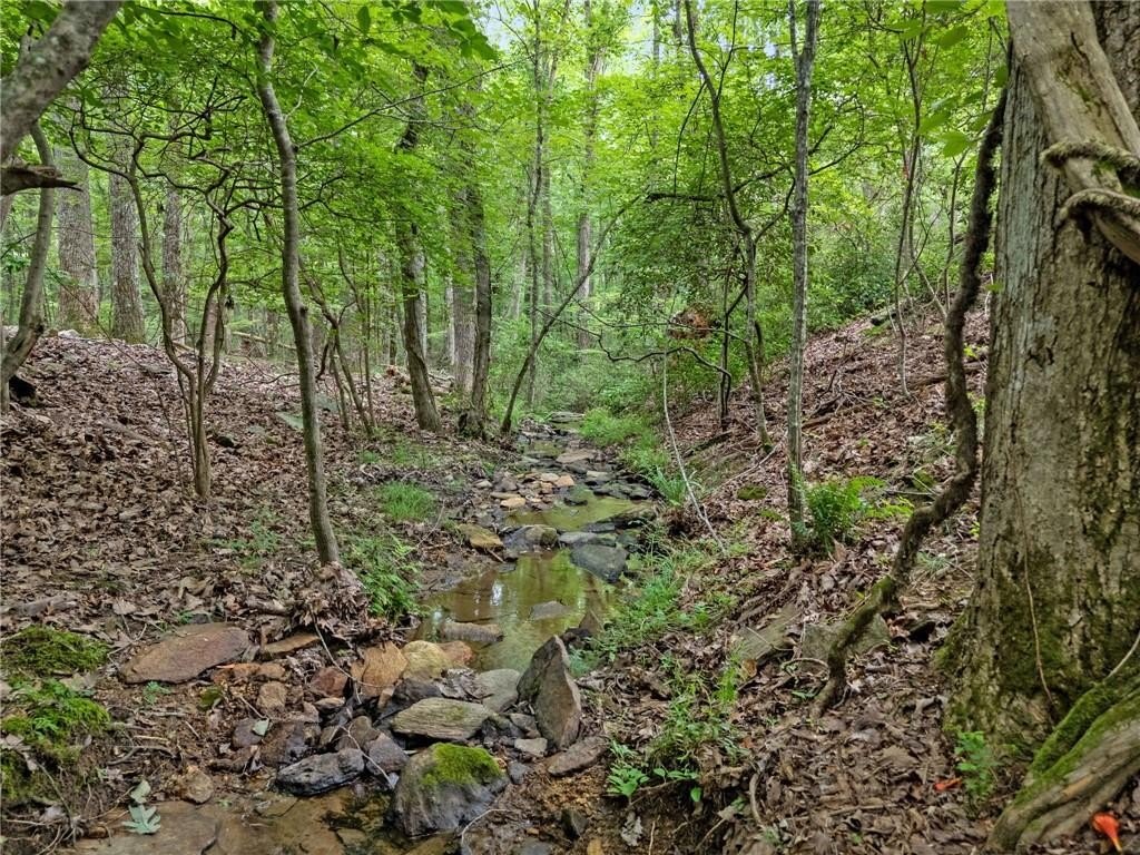 Jasper, Georgia, 30143, United States, 4 Bedrooms Bedrooms, ,4 BathroomsBathrooms,Residential,For Sale,1975292