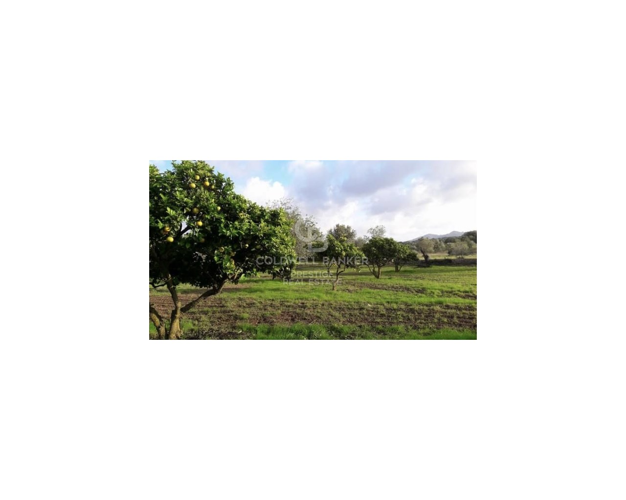 Mallorca, Art?, Art? Mallorca, Art?, Art? Mallorca, Artà, Balearic Islands, 07570, ES, 5 Bedrooms Bedrooms, ,2 BathroomsBathrooms,Residential,For Sale,Mallorca, Art?, Art? Mallorca, Art?, Art? Mallorca,1623997