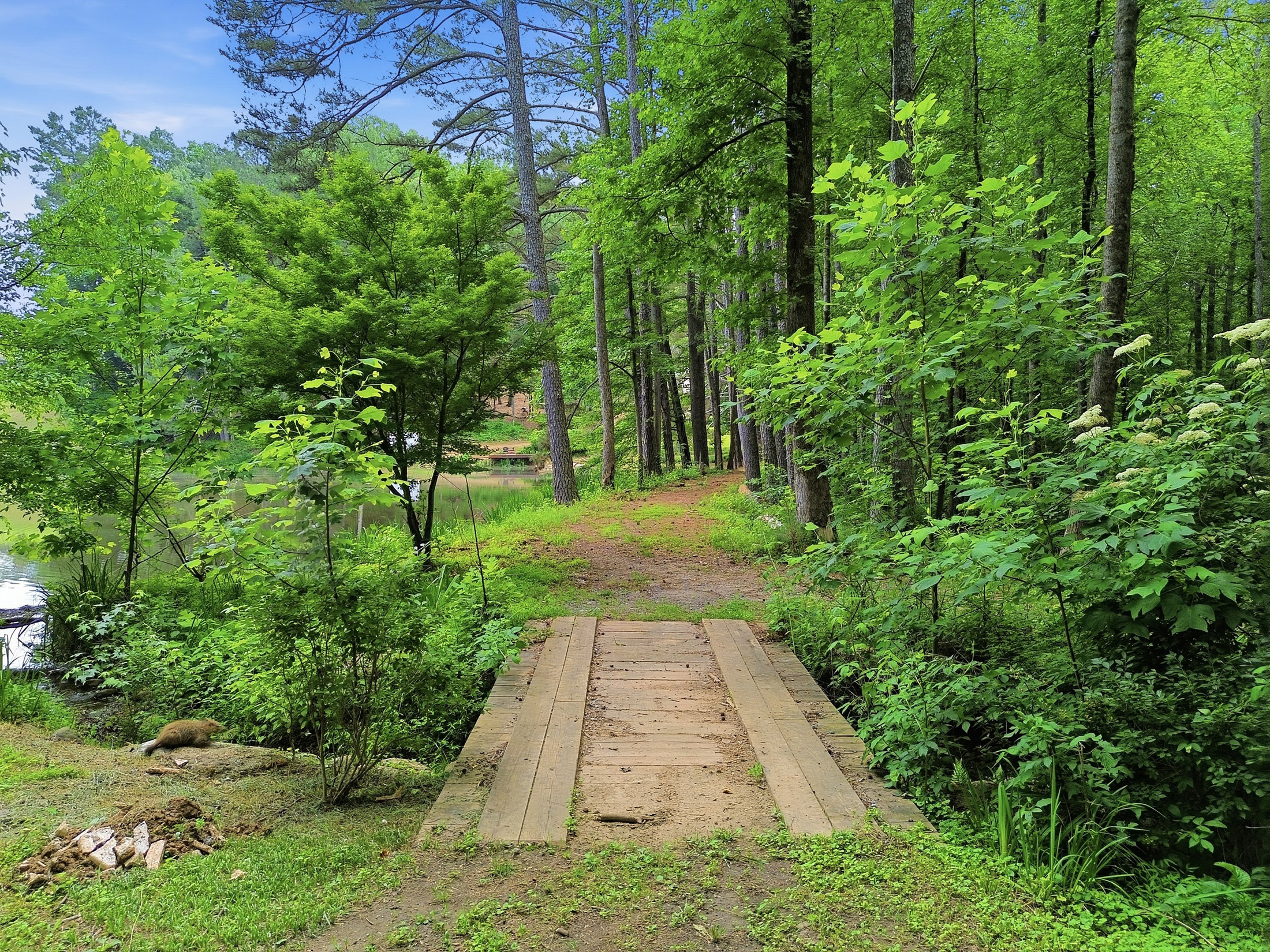  Exceptional Brick Ranch on 5+/- Picturesque Acres - 物件實景