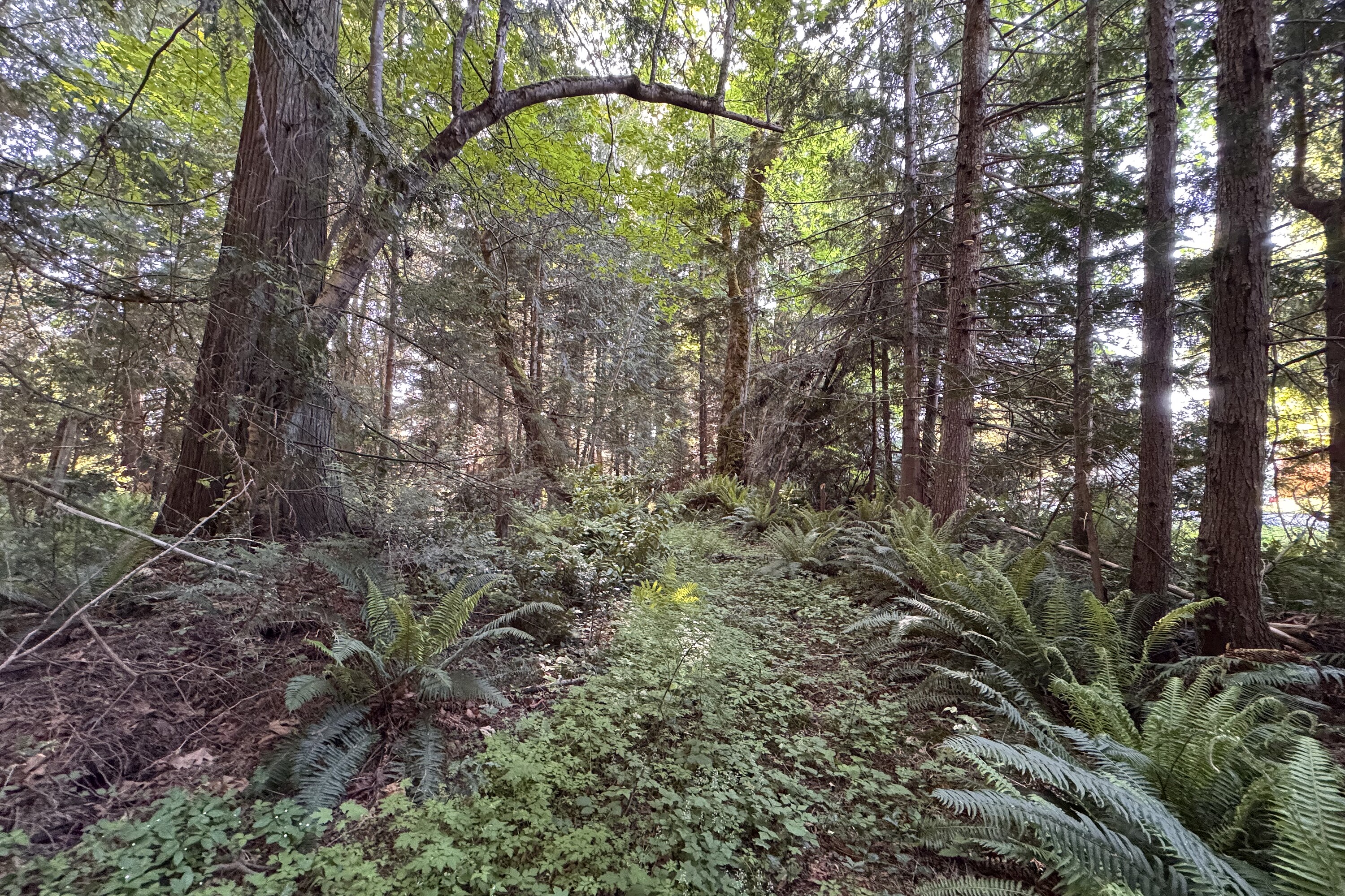  Sechelt, Sunshine Coast - 物件實景