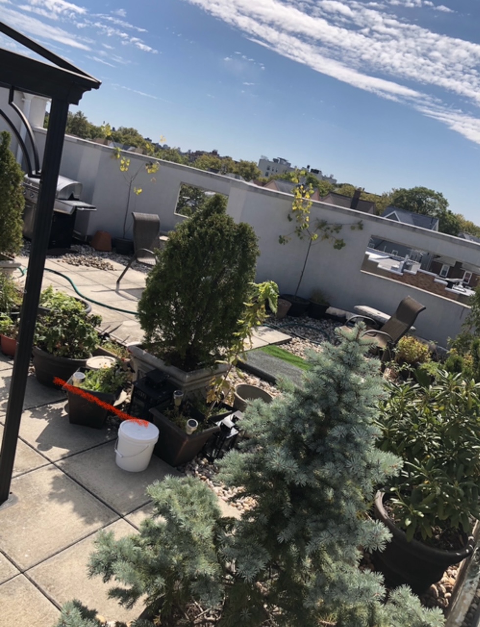 Brooklyn, New York, 11214, United States, 3 Bedrooms Bedrooms, ,2 BathroomsBathrooms,Residential,For Sale,1885632