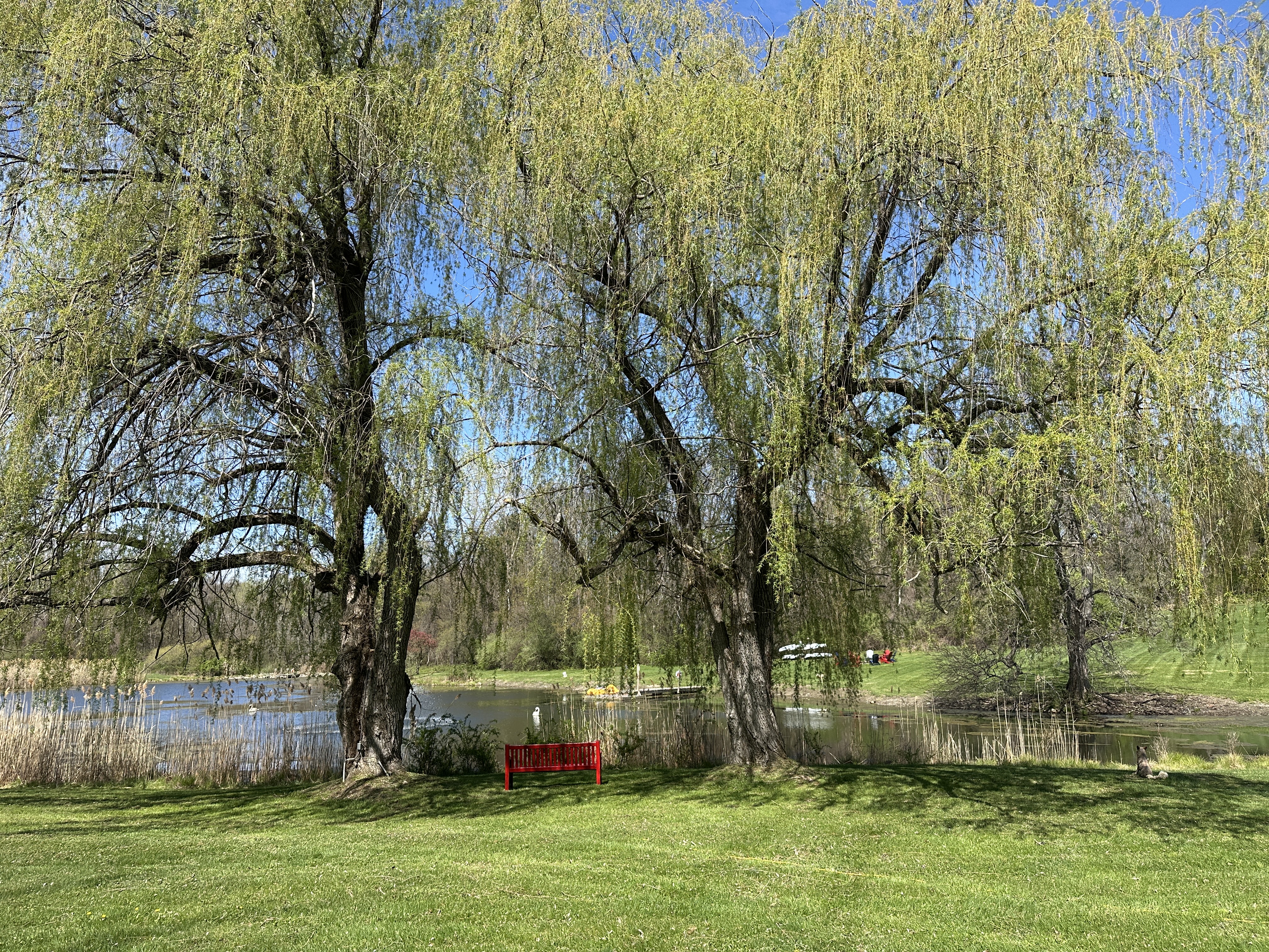  443 Taghkanic Road, Elizaville, NY, 12523 - 物件實景